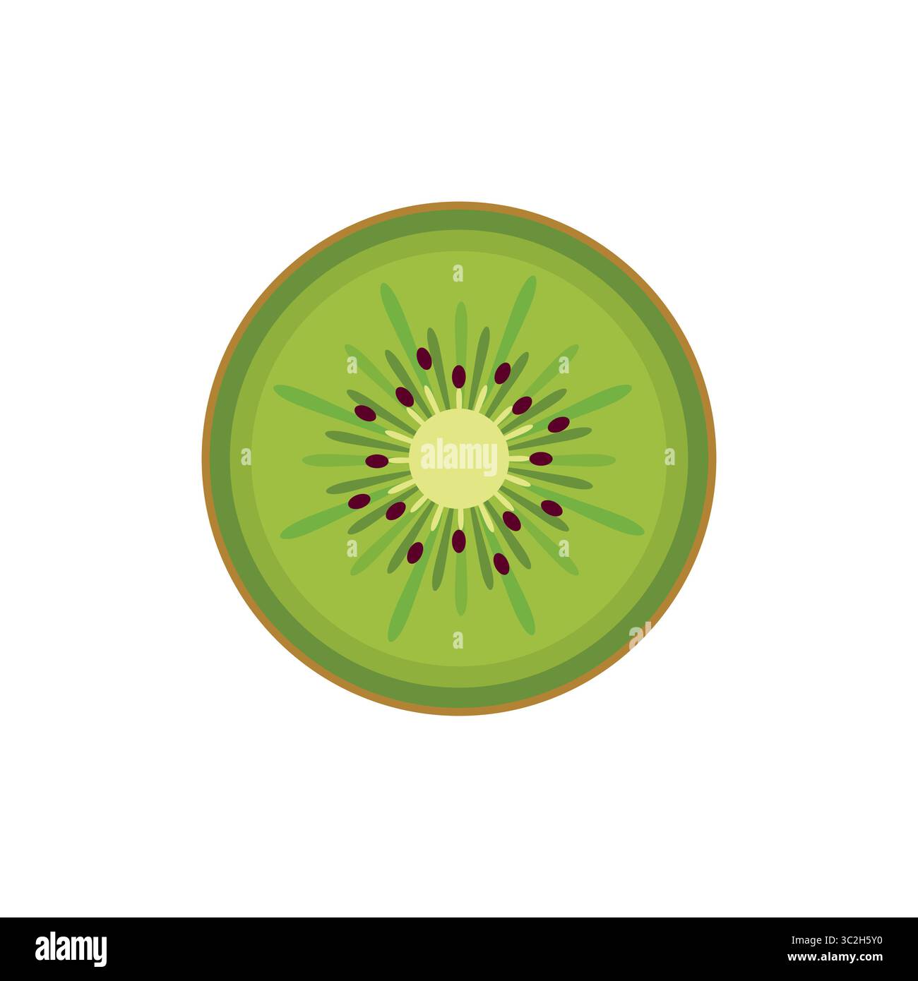 Fetta di kiwi vettoriale piatta con semi e consistenza. Icona luminosa della frutta tropicale per etichette di succhi, imballaggi esotici, promozioni di dieta sana, libro per bambini Illustrazione Vettoriale