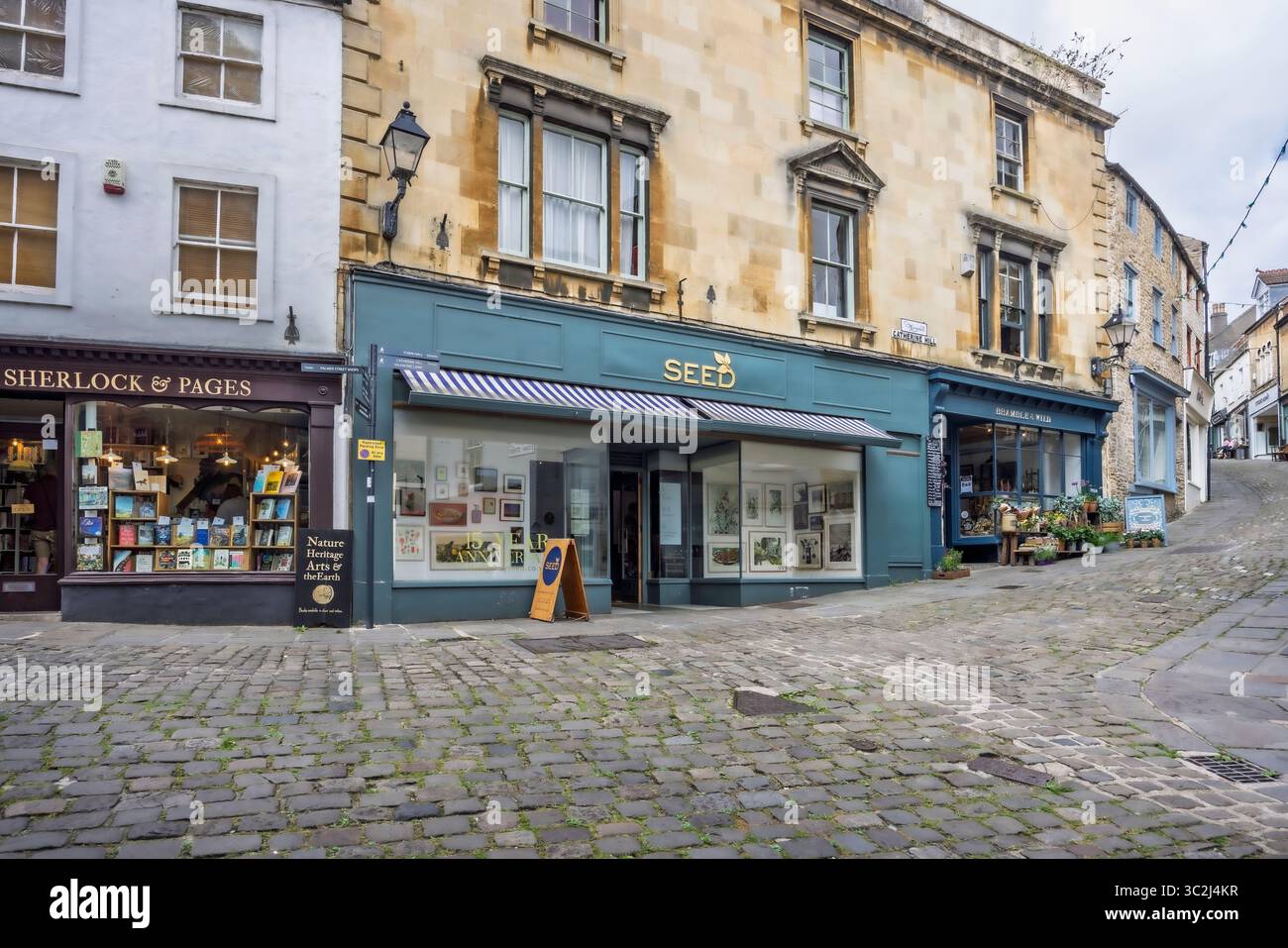 Sherlock & Pages book shop, Seed and Other Shops on Catherine Hill a Frome, Somerset, Regno Unito, il 24 luglio 2025 Foto Stock