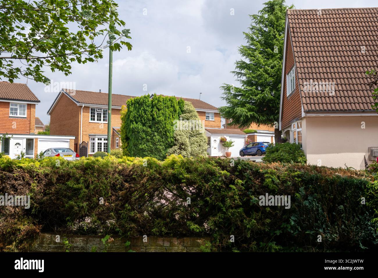 Strada suburbana con case, infrastrutture suburbane e diversi alberi e vegetazione associata. Foto Stock