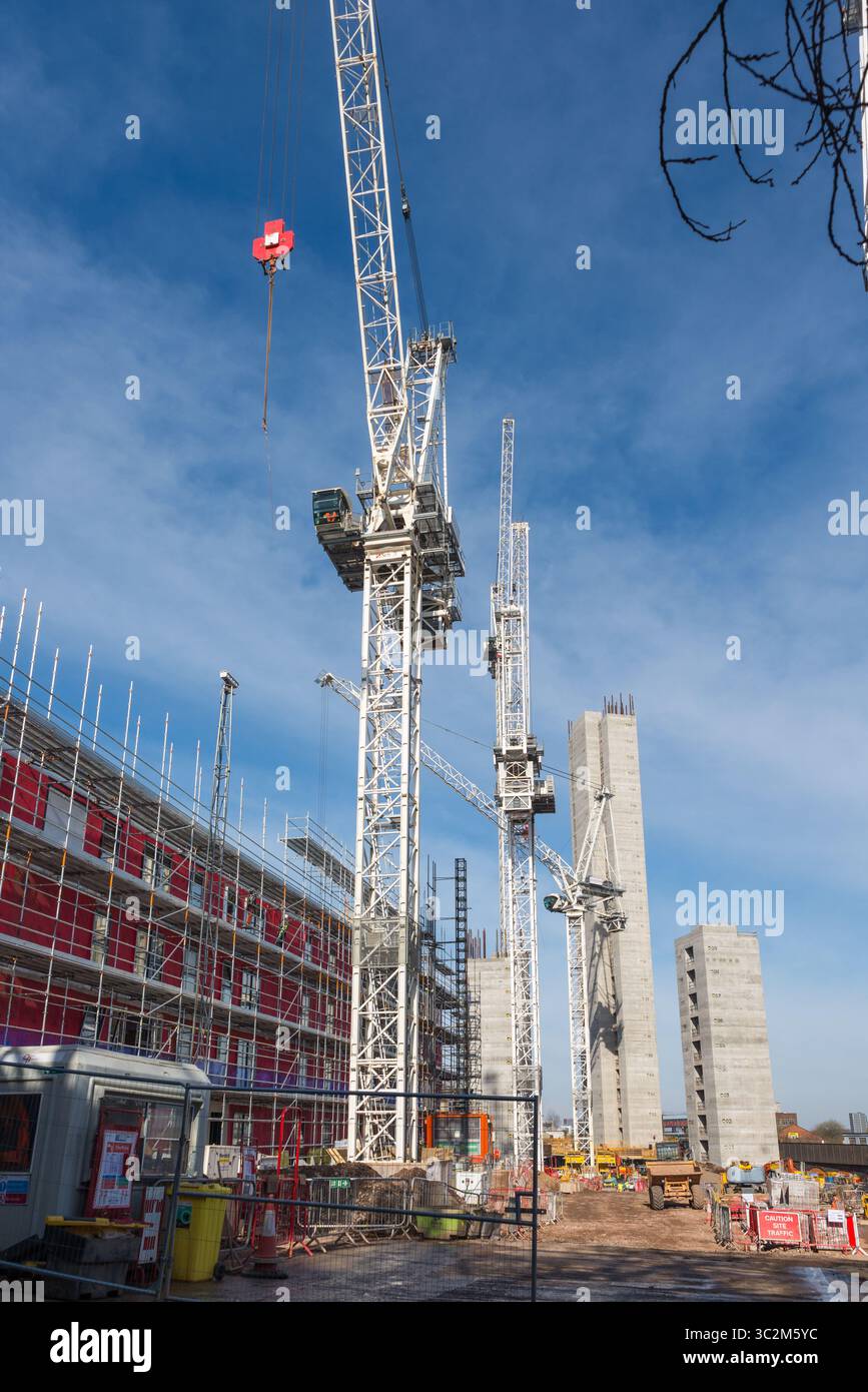 Numerose gru coinvolte nella costruzione di nuovi e alti appartamenti a Bordesley, vicino al centro di Birmingham Foto Stock