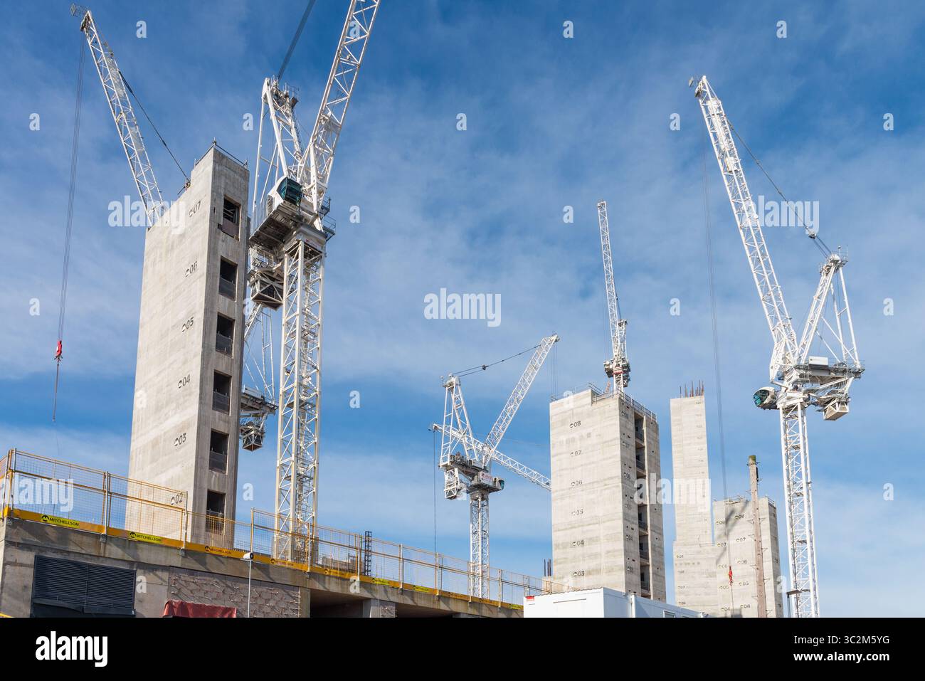 Numerose gru coinvolte nella costruzione di nuovi e alti appartamenti a Bordesley, vicino al centro di Birmingham Foto Stock