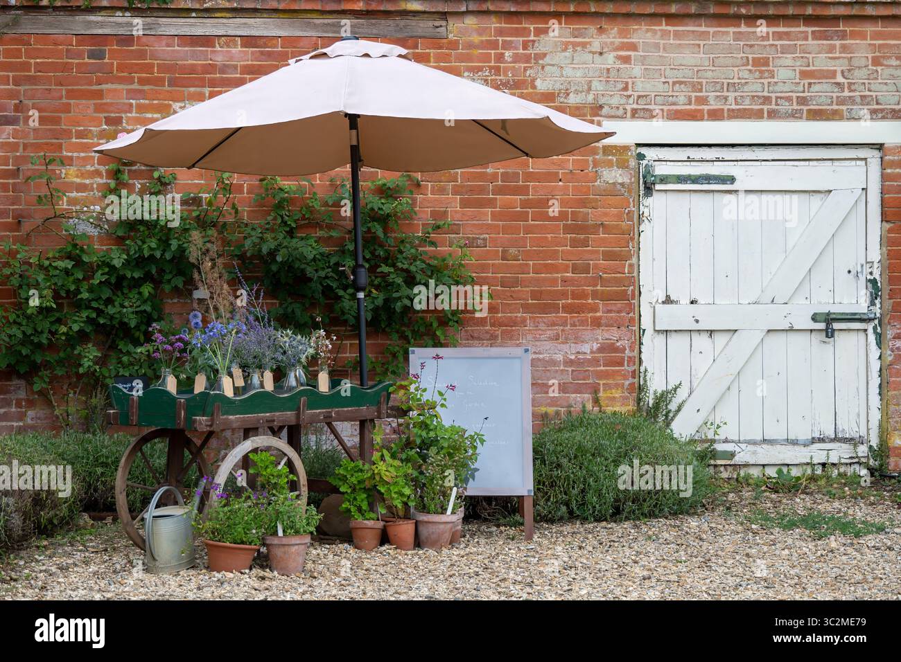 tumulo di piante e fiori presso la tenuta e i giardini di Mottisfont Abbey, Hampshire, Inghilterra Foto Stock