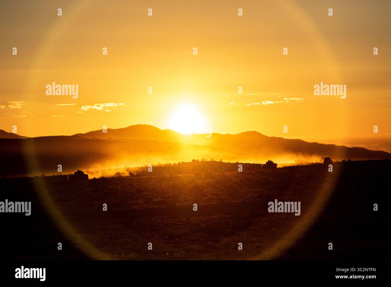 14 luglio 2019 - Fort Irwin, California, USA - i soldati della 30th Armored Brigade Combat Team si alzano con il sole per spostare veicoli militari sul campo di battaglia mentre si preparano ad attaccare il villaggio di addestramento militare di Ujen presso il National Training Center di ft. Irwin, CALIFORNIA, 14 luglio 2019. Il 30th ABCT è composto da oltre 4.200 soldati che si stanno addestrando a schierarsi nel sud-ovest asiatico più tardi questo autunno. (Immagine di credito: © U.S. Marines/ZUMA Wire/ZUMAPRESS.com) Foto Stock