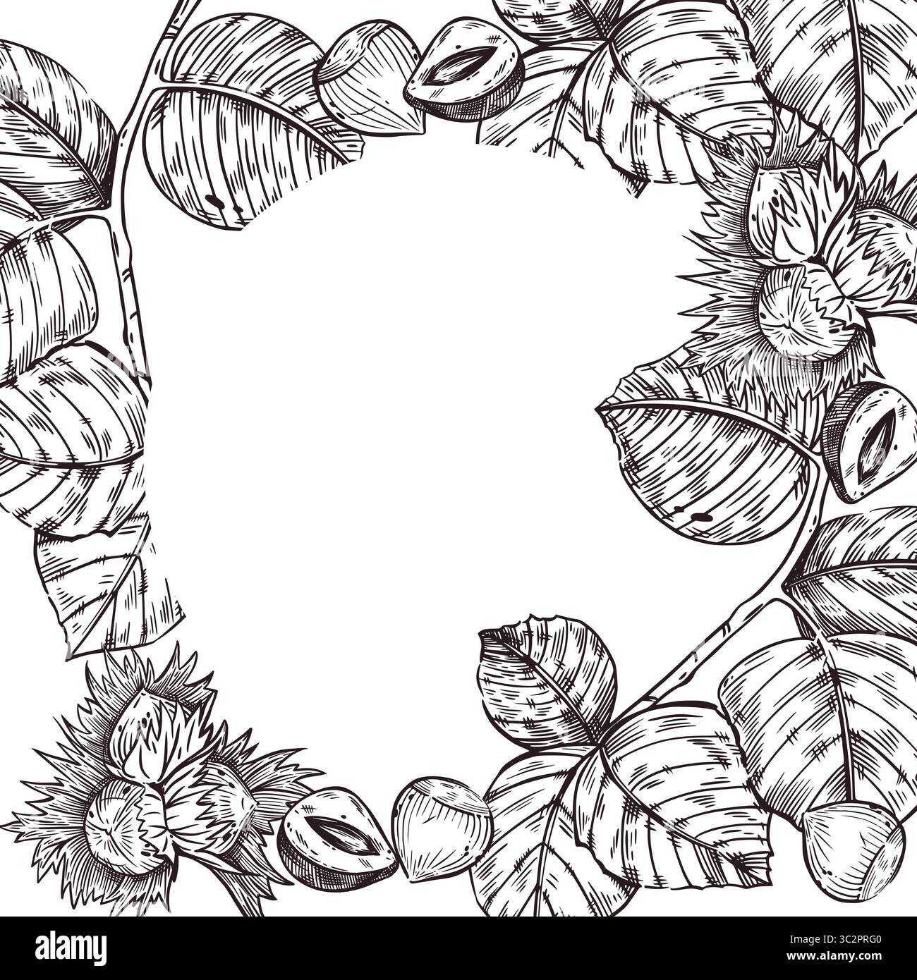 Nocciola, nocciola, nocciola, foglia di albero e telaio vettoriale di noci divisi. Tutti gli oggetti sono disegnati a mano con inchiostro. L'illustrazione è adatta per la stampa Illustrazione Vettoriale