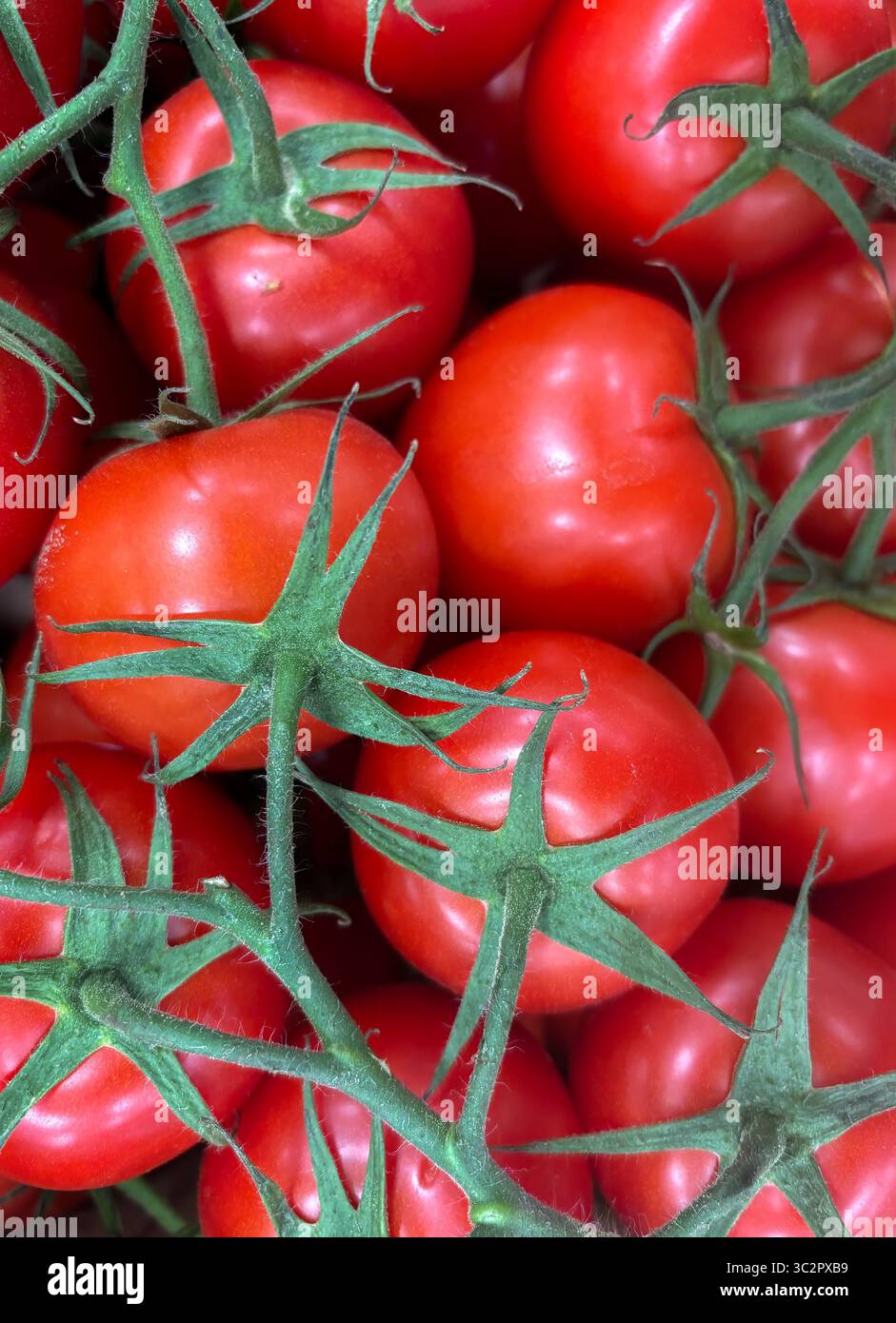 Pomodori freschi crudi maturi in un mercato agricolo Foto Stock