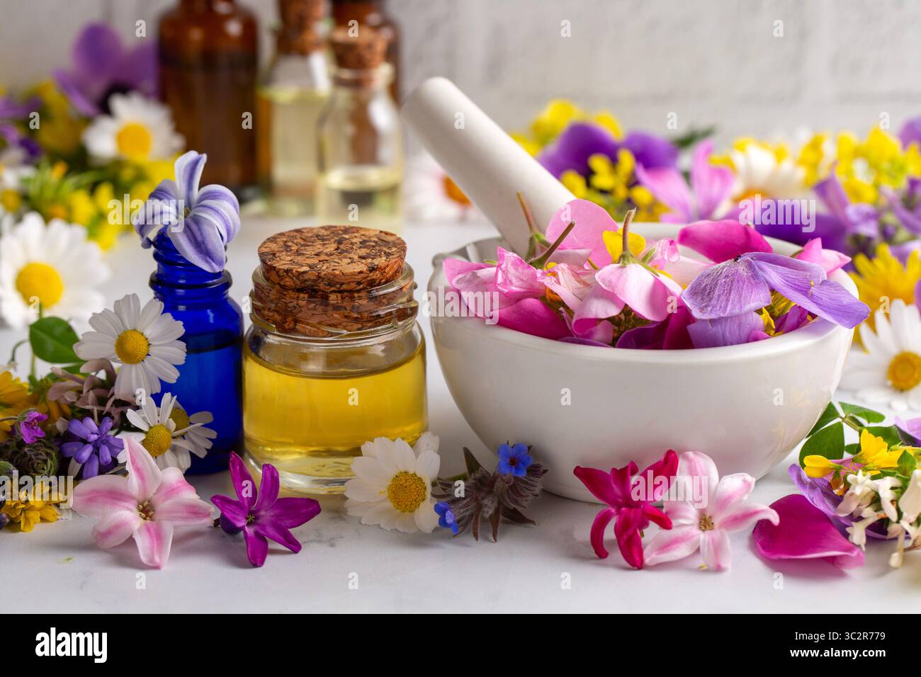 Concetto di erboristeria alternativa. Bottiglie di tintura o pozione, oli essenziali organici, erbe sane secche, estratti floreali su tavola di legno. Pur Foto Stock