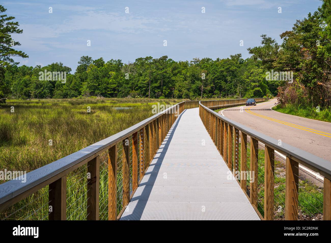Passeggiata sul lungomare per osservare la palude salata di Davis Bayou, una parte del Gulf Islands National Seashore, Mississippi, Stati Uniti. Foto Stock