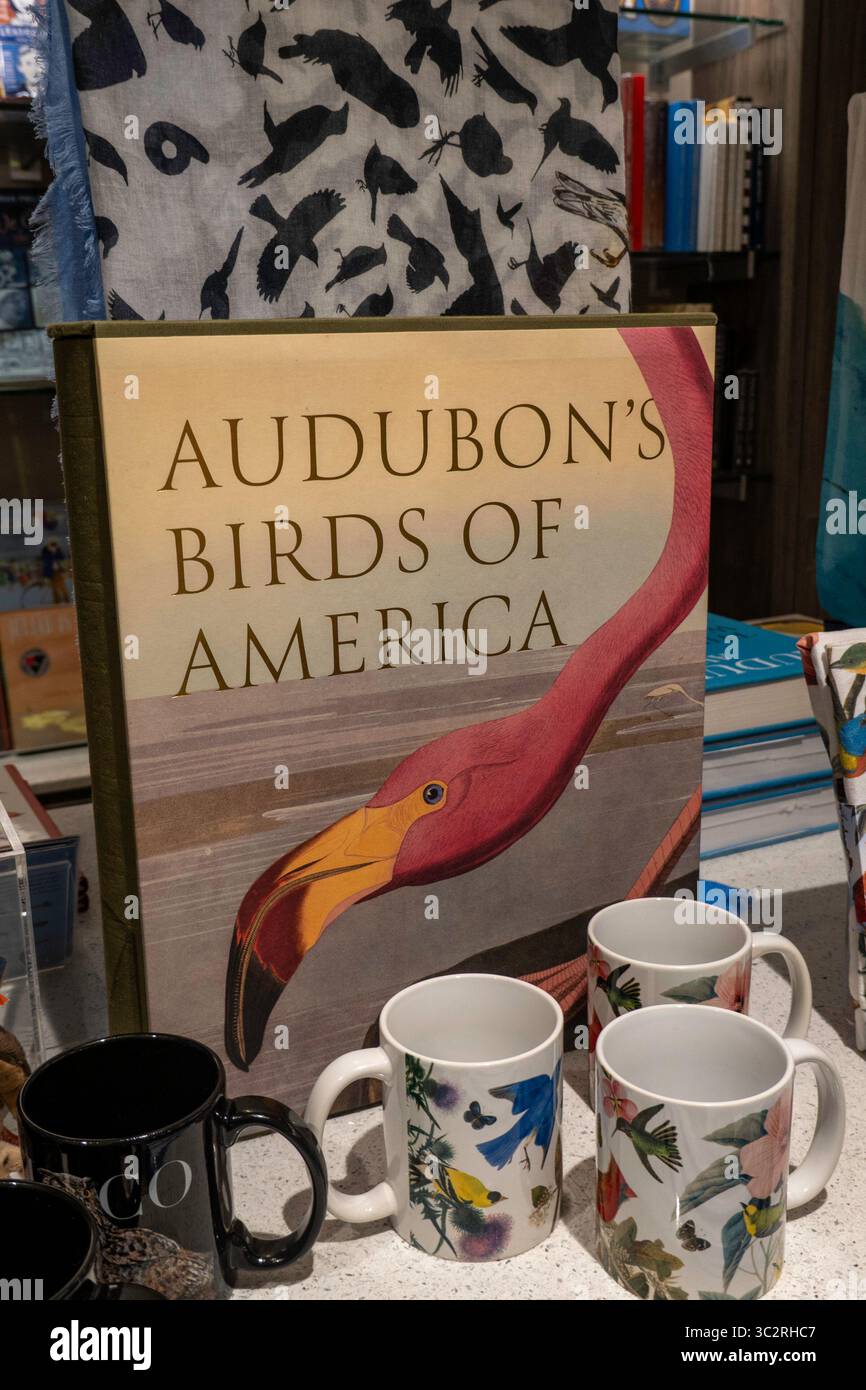 Il negozio di articoli da regalo presso la New York Historical Society & Library, NYC, USA 2025 Foto Stock