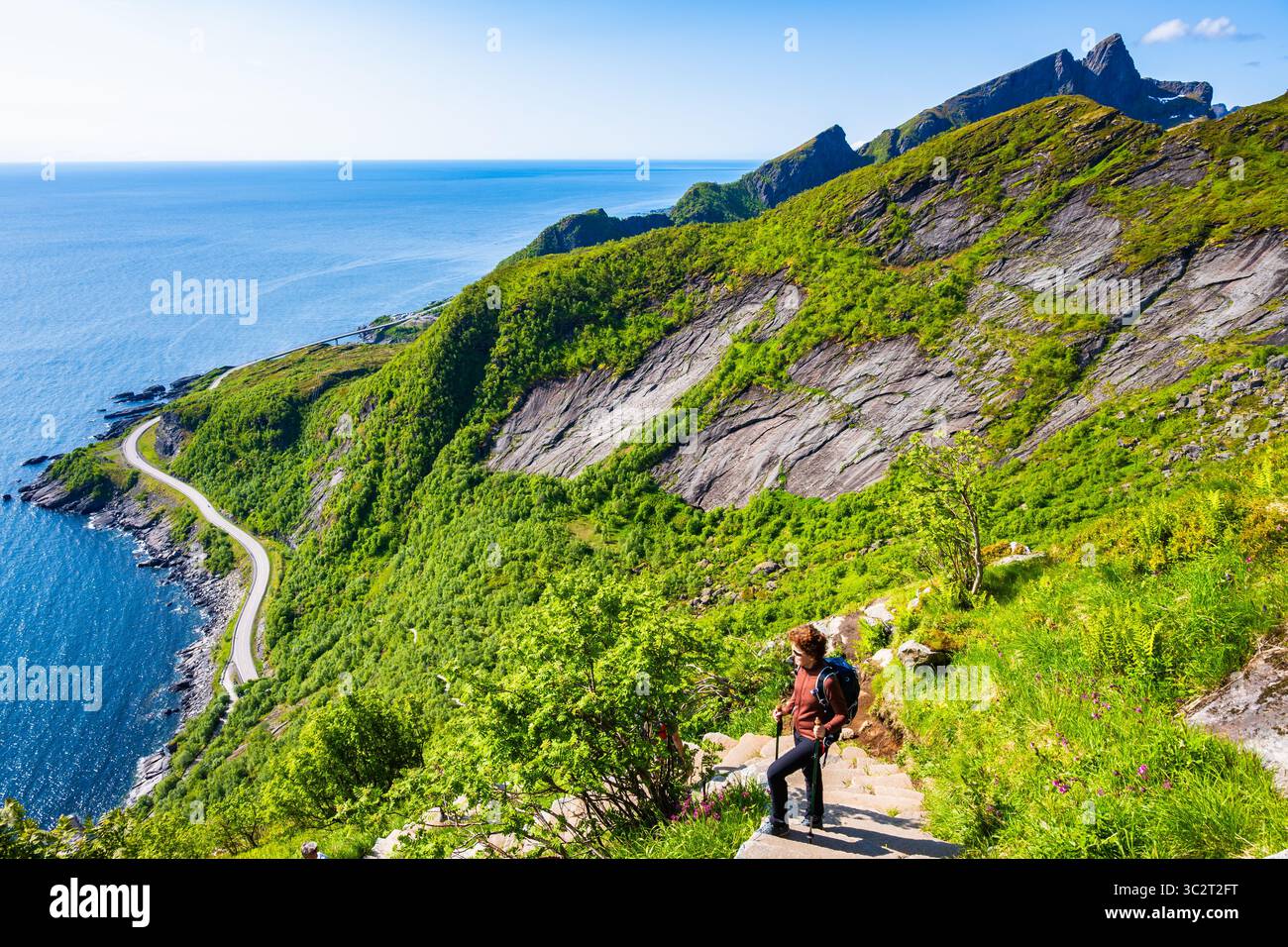 Donna turistica in piedi su gradini di pietra del sentiero escursionistico per la montagna di Reinebringen in estate, Isole Lofoten, Norvegia Foto Stock