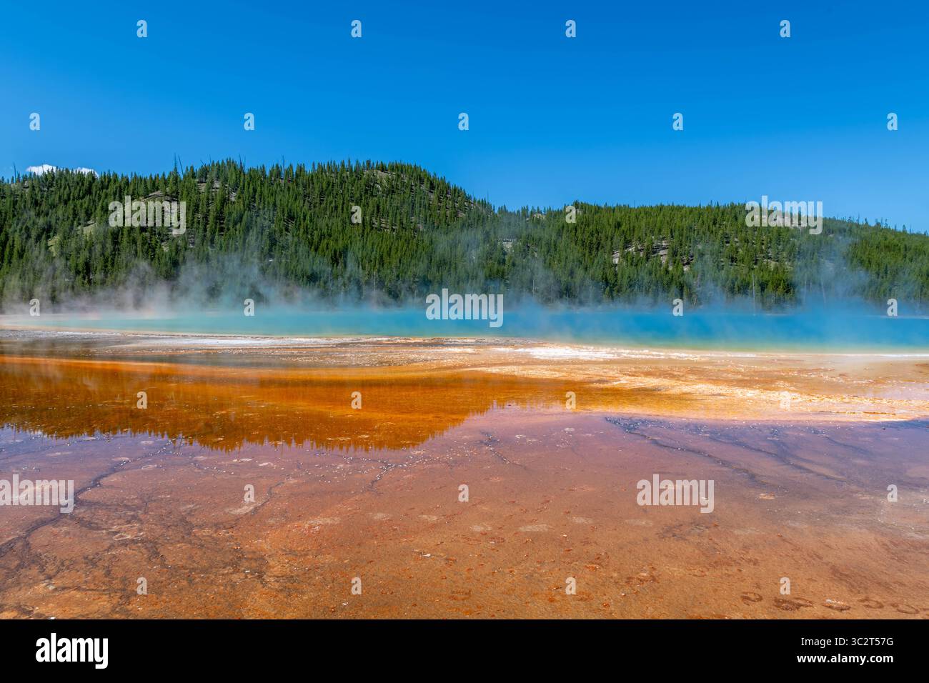 Grand Tetons Park, Wyoming Foto Stock