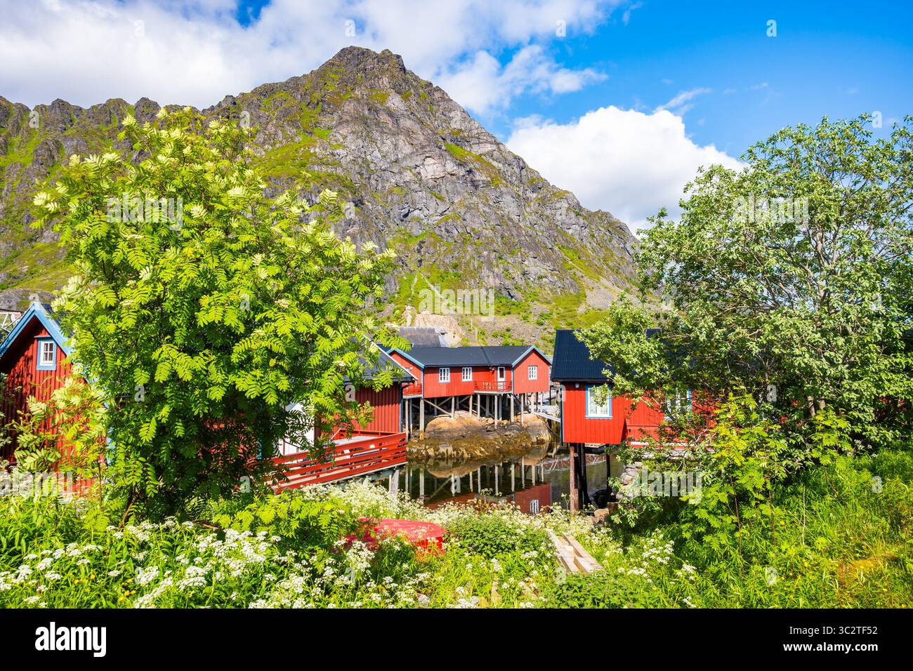 Tipiche case tradizionali in Un porto e villaggio di pescatori nel paesaggio montano estivo, isole Lofoten, Norvegia Foto Stock
