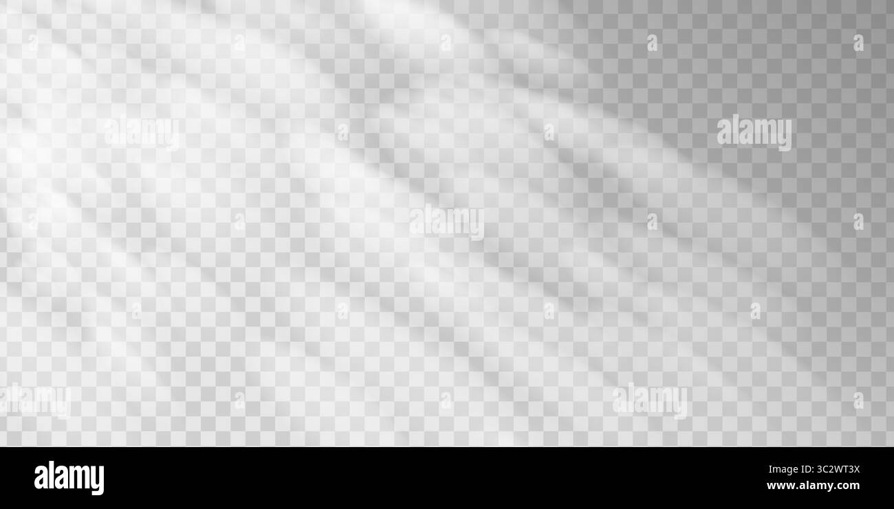 La luce solare soffusa filtra le foglie degli alberi, gettando ombre morbide su una parete di cemento. La sovrapposizione naturale e il fogliame sfocato creano uno sfondo tranquillo e minimalista ispirato alla giungla. Illustrazione Vettoriale