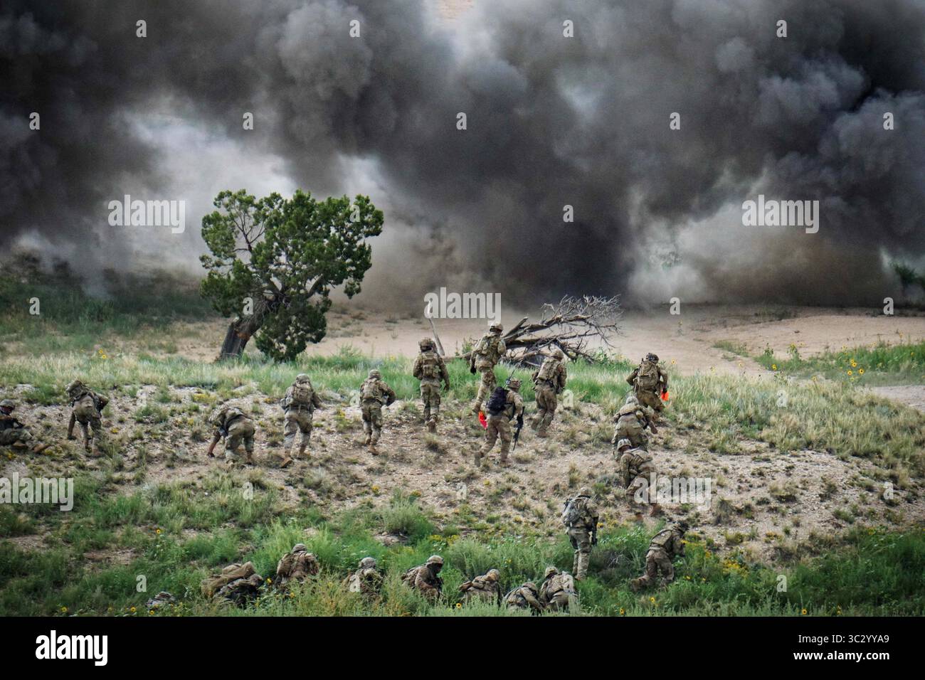 14 agosto 2019 - Fort Carson, Colorado, USA - soldati assegnati al 3rd Platoon, Bravo Company, 1st Battalion, 12th Infantry Regiment, 2nd Infantry Brigade Combat Team, 4th Infantry Division, conducono violenze esplosive usando bangalores insieme a un team di ingegneri della Alpha Company, 52nd Brigade Engineer Battalion, 2IBCT, durante il 1st Bn., 12th Inf. Reg. Esercitazione del fuoco dal vivo dei plotoni, 14 agosto 2019, a Fort Carson, Colorado. (Immagine di credito: © U.S. Army/ZUMA Wire/ZUMAPRESS.com) Foto Stock