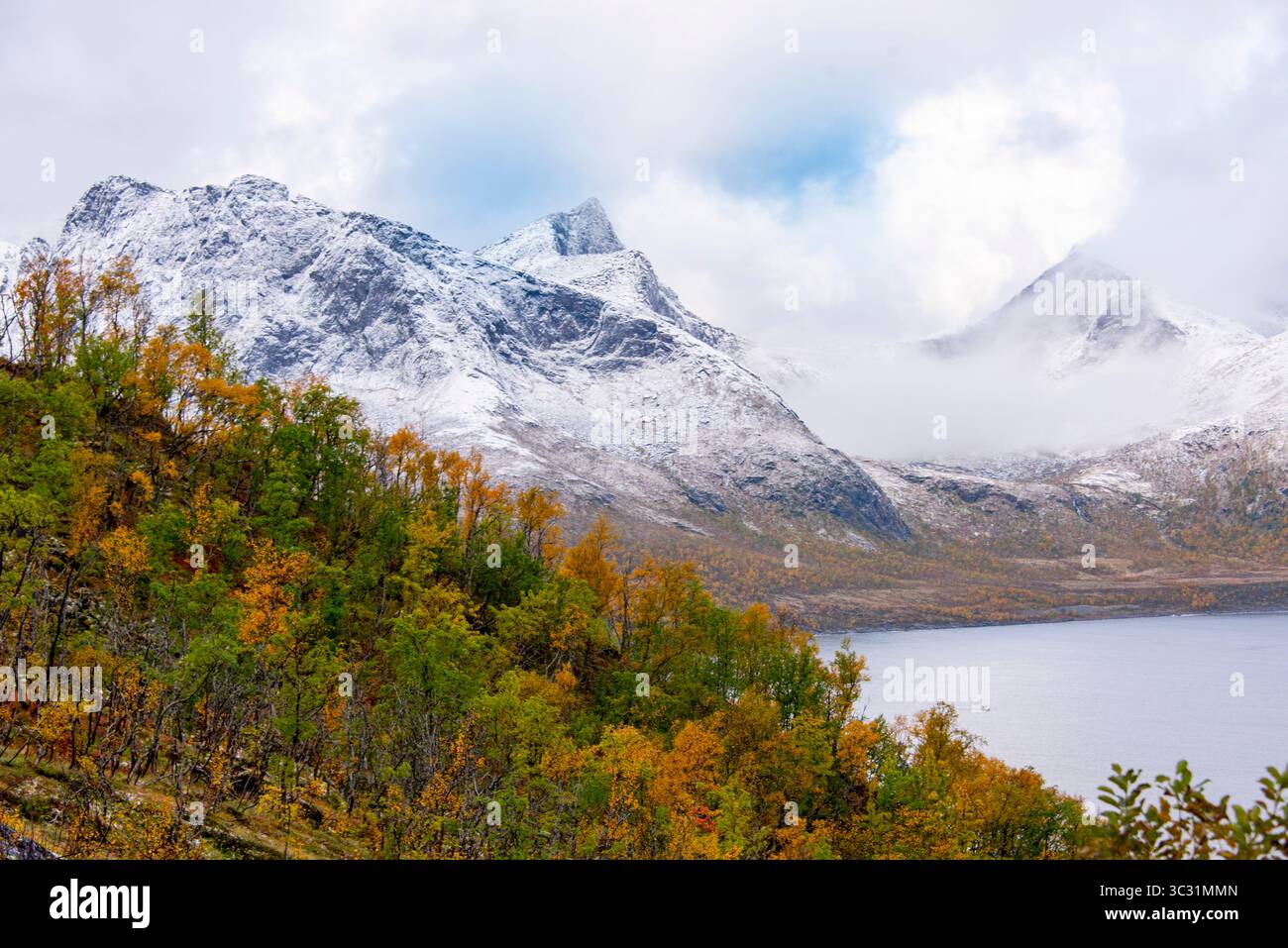 Autunno sull'isola di Senja - Norvegia Foto Stock