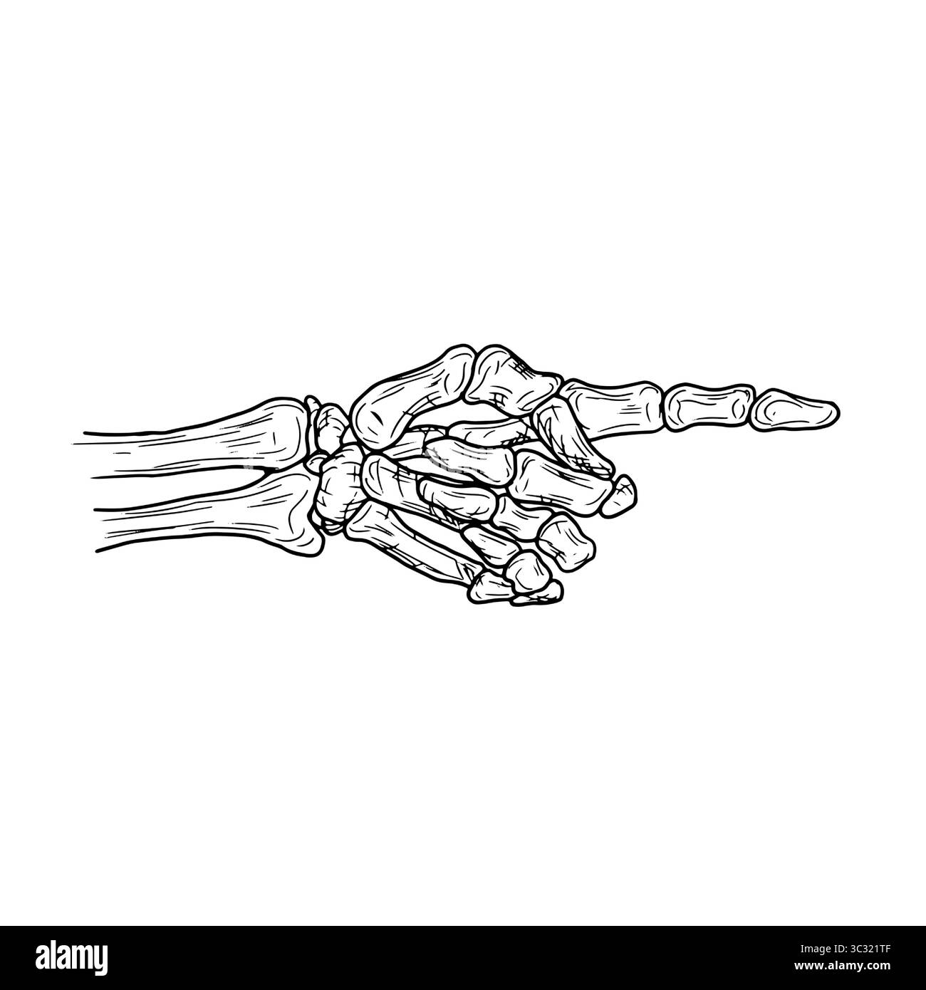 Punta la mano dello scheletro con un dito osseo, schizzo sagomato in bianco e nero. Illustrazione vettoriale. Mano di un uomo morto, isolata su sfondo bianco. Per Illustrazione Vettoriale