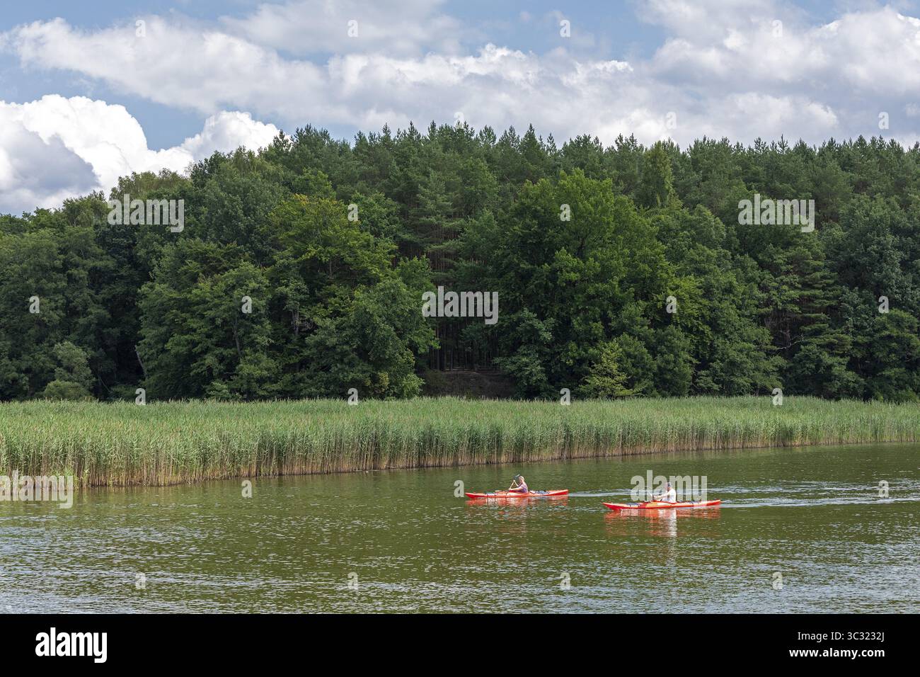 Canoes, Vilzsee, distretto dei laghi di Meclemburgo, Meclemburgo-Pomerania occidentale, Germania Foto Stock