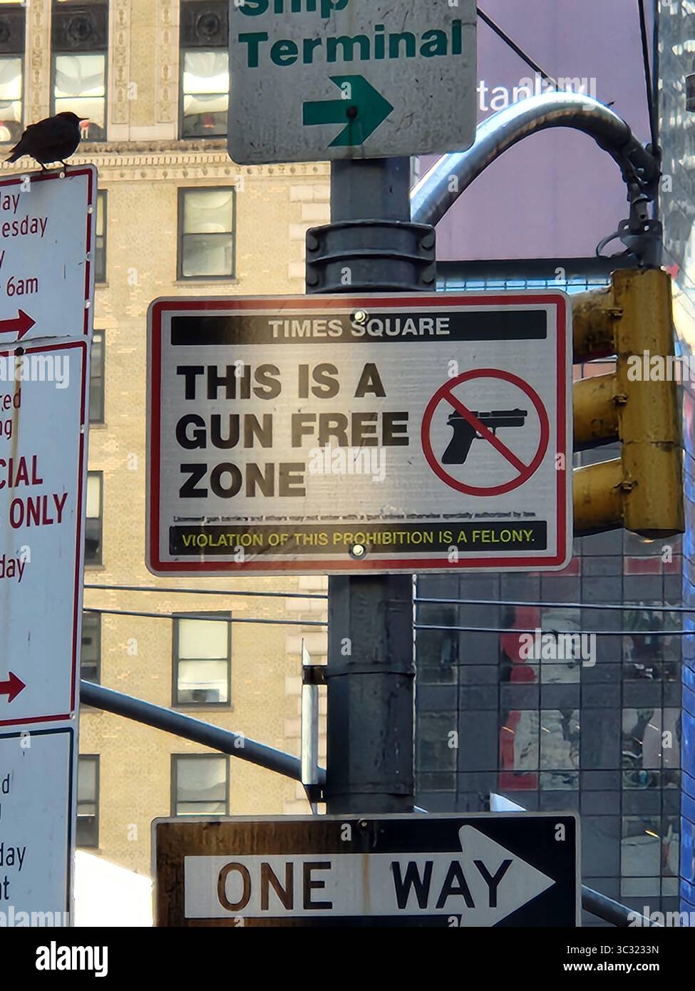 questa e' una zona libera da armi da fuoco, segno new york Foto Stock