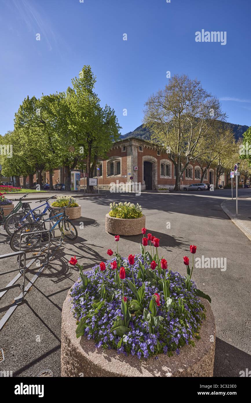 Edifici storici, stand per biciclette, biciclette, vasi di fiori, alberi, retroilluminazione, cielo blu, senza nuvole, Ludwigstrasse, Unterer Lindenplatz, Aegidiplatz, cattivo R Foto Stock