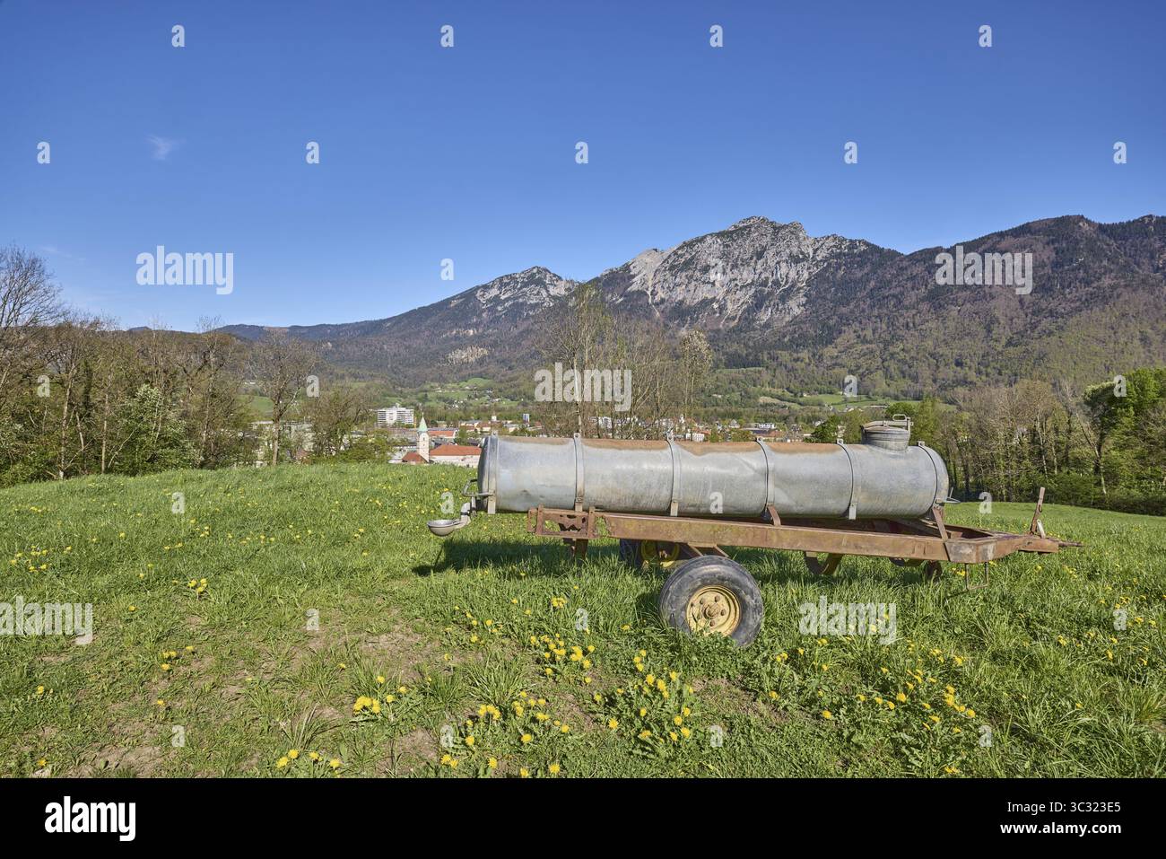 Fossa di bestiame, paesaggio montano, montagne, prato, dente di leone comune (Taraxacum Sect. Ruderalia), alberi, cielo blu, nuvoloso, Bad Reichenhall, dist Foto Stock