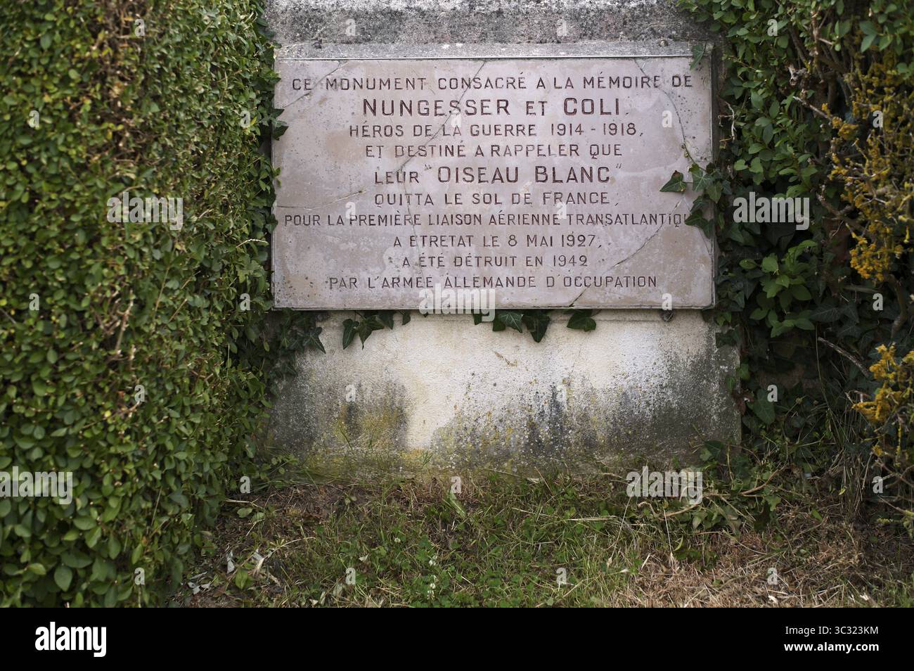 Targa commemorativa, monumento in onore degli aviatori francesi Francois coli e Charles Nungesser, dietro la chiesa Chapelle Notre Dame de la Garde, E. Foto Stock