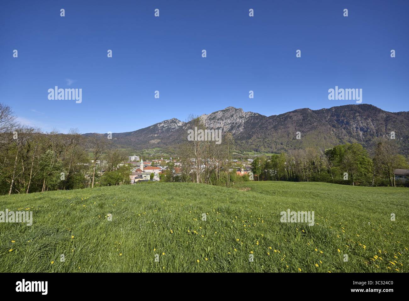 Viste totali, paesaggio montano, montagne, alberi, foreste di conifere, cielo blu, senza nuvole, Bad Reichenhall, distretto Berchtesgadener Land, Baviera, GE Foto Stock