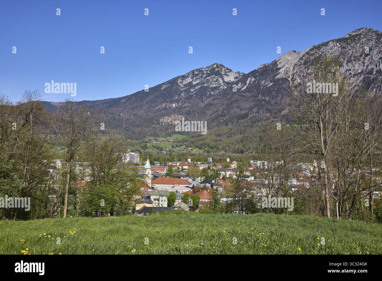 Paesaggio, fotografia paesaggistica, paesaggio di montagna, montagne, prato, alberi, foresta di conifere, vista dall'alto, cielo blu, nuvoloso, Bad Reichenha Foto Stock