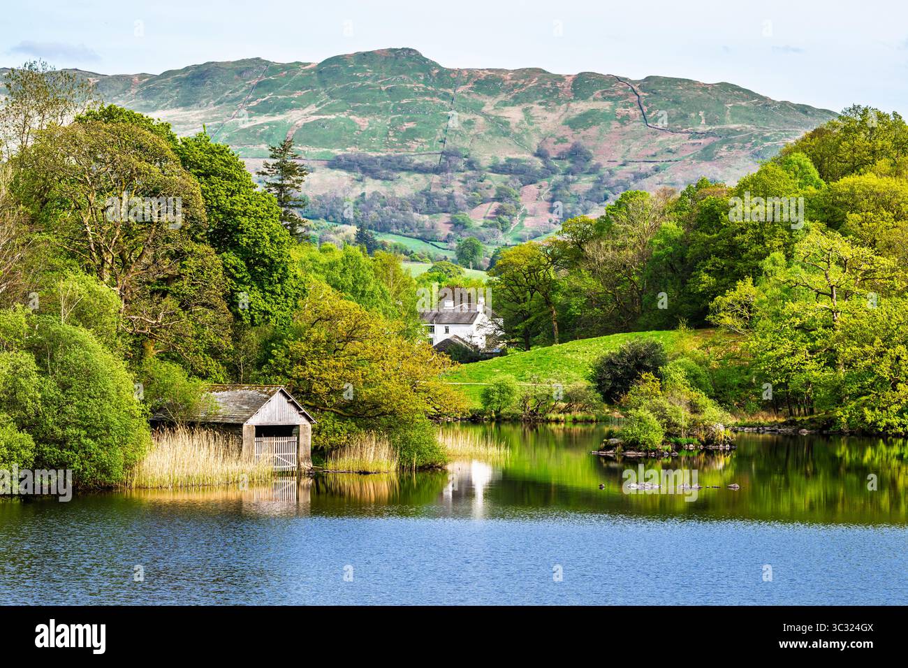 Rydal Water, Rydal, Ambleside, Lake District, Westmorland, Cumbria, Inghilterra Foto Stock