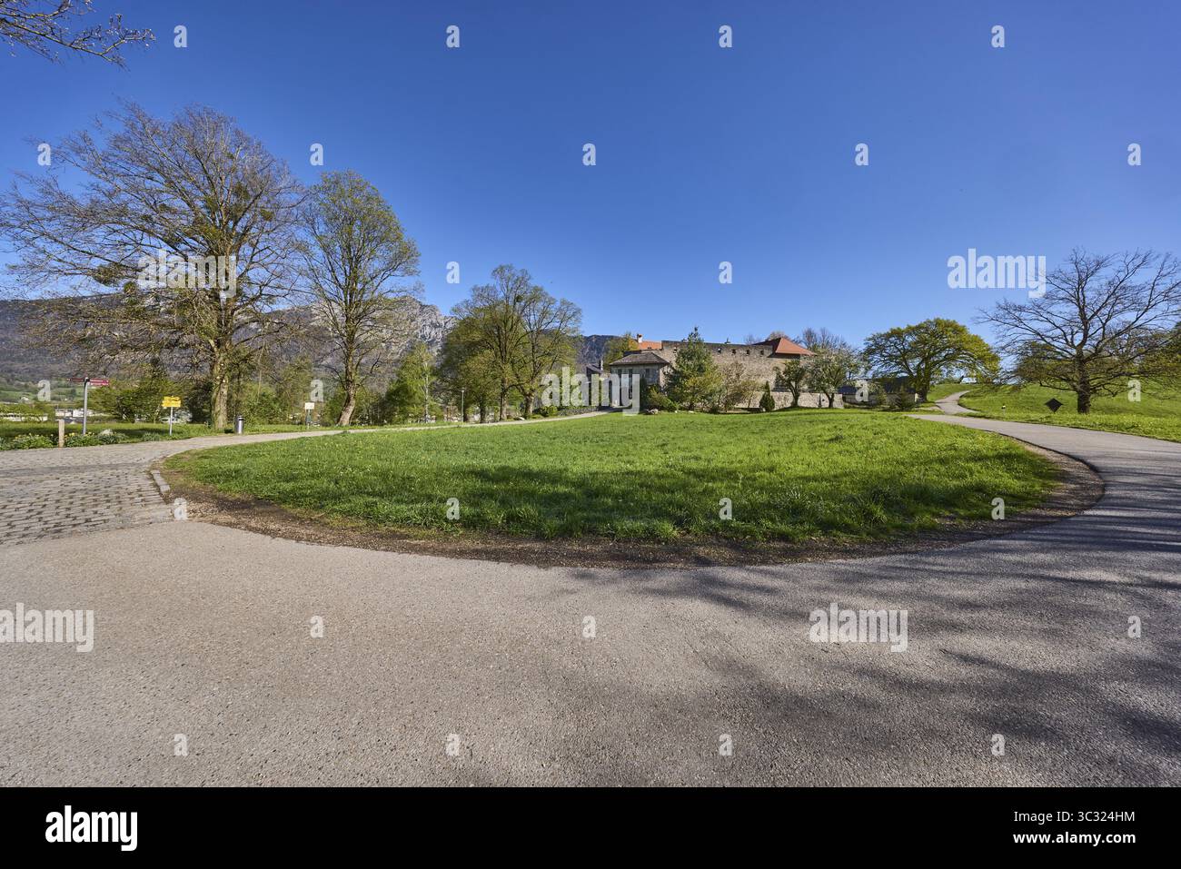 Strada, paesaggio, fotografia paesaggistica, alberi, prato, sentiero pedonale, cielo azzurro, senza nuvole, Gmainer Strasse, Pfannhauserweg, Bad Reichenhall, Berchtesgadene Foto Stock