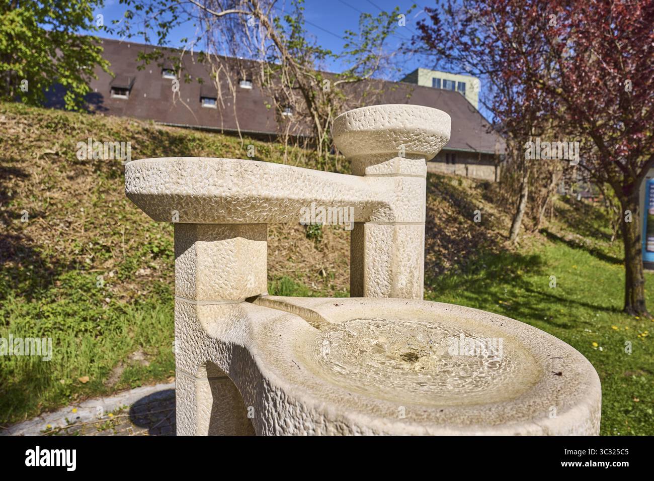 Fontana in pietra, fontana, alberi, prati, profondità di campo, Blue Sky, Cloudless, Anton-Winkler-Strasse, Bad Reichenhall, Berchtesgadener Land District, Foto Stock