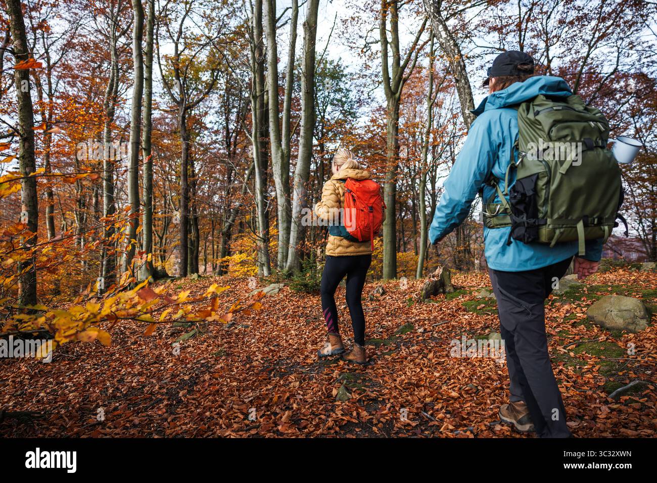 Escursioni nella foresta autunnale. Due viaggiatori camminano su un sentiero di trekking. Le persone sperimentano escursioni e viaggi avventurosi insieme Foto Stock