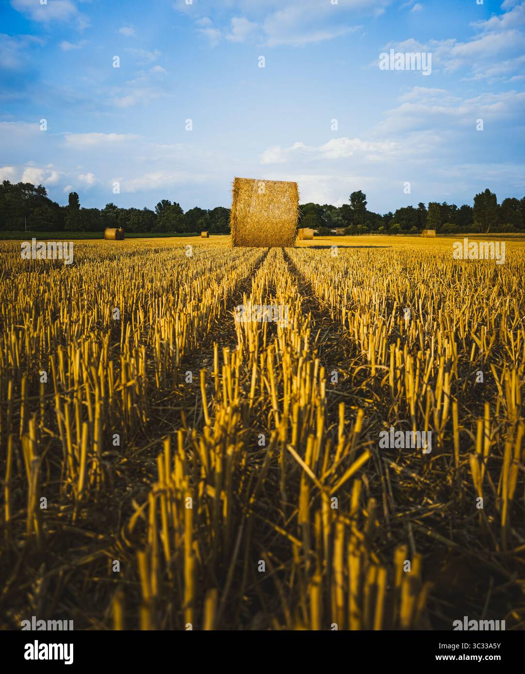 Balla di fieno quadrata singola su un campo raccolto con una prospettiva spettacolare vicino a Jülich, Germania, luglio 2025 Foto Stock