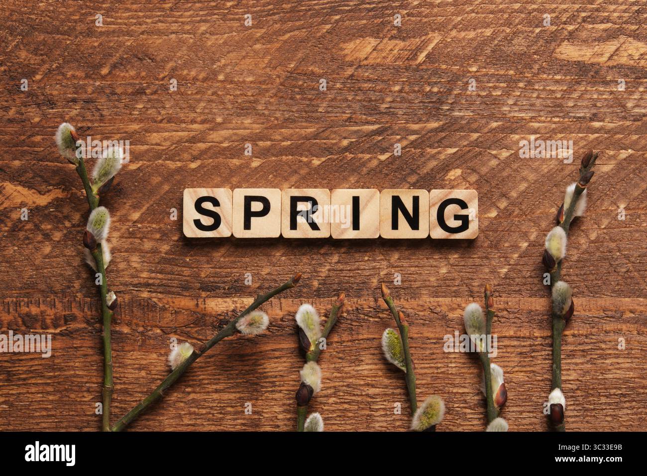 La parola Spring in inglese è fatta di blocchi di legno con rametti di salice in fiore su uno sfondo di legno marrone. Spazio per il testo. Foto Stock
