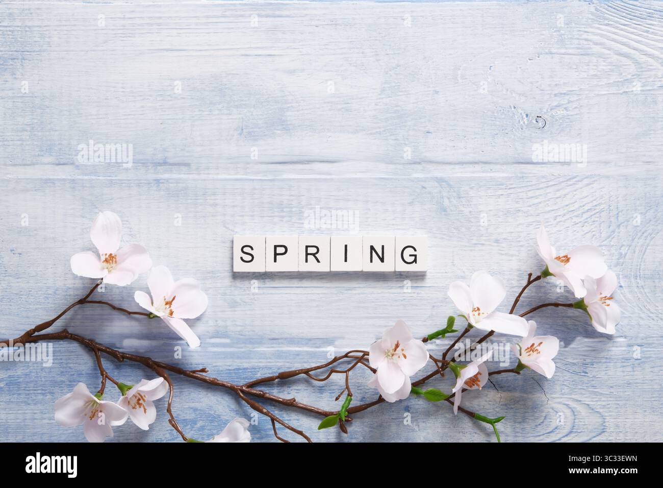 Parola Primavera in inglese fatta di blocchi di legno con un ramo di un albero fiorito su uno sfondo di legno blu e bianco. Spazio per il testo. Foto Stock