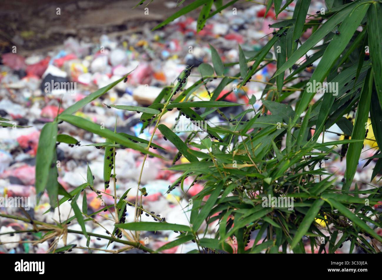 5 settembre 2019 - Bekasi, Giava Occidentale, Indonesia - Una pila di spazzatura copriva il flusso lungo cinquecento metri del fiume Jambe a Tambun, Bekasi, Giava Occidentale, nel settembre 5,2019. Pile di rifiuti domestici di plastica, polistirolo, bottiglie di plastica e altri materiali sono stati prodotti negli ultimi tre mesi a partire dai rifiuti domestici negli insediamenti in cui vivono. (Immagine di credito: © Dasril Roszandi/ZUMA Wire) Foto Stock