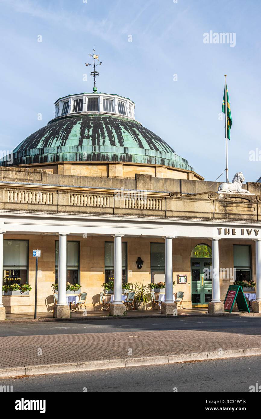 The Ivy Montpellier Brasserie Restaurant in Montpellier Rotunda, Cheltenham, Gloucestershire, Inghilterra Regno Unito Foto Stock