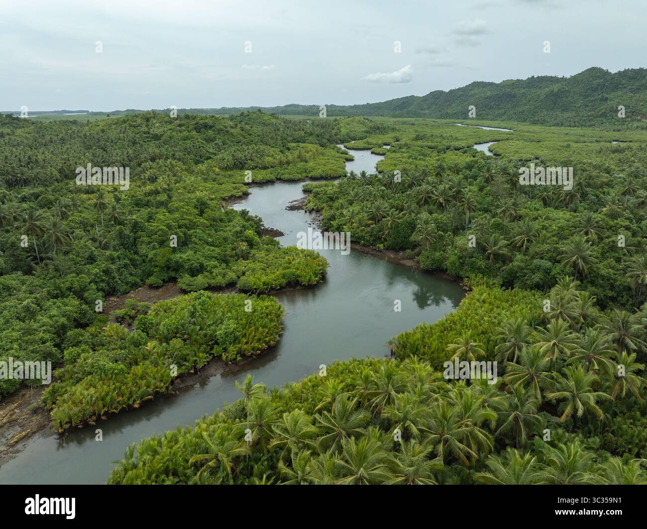 Vista aerea di un fiume tortuoso che attraversa un lussureggiante paesaggio di fitta giungla e alberi tropicali, Siargao Island, Caraga, Filippine. Foto Stock
