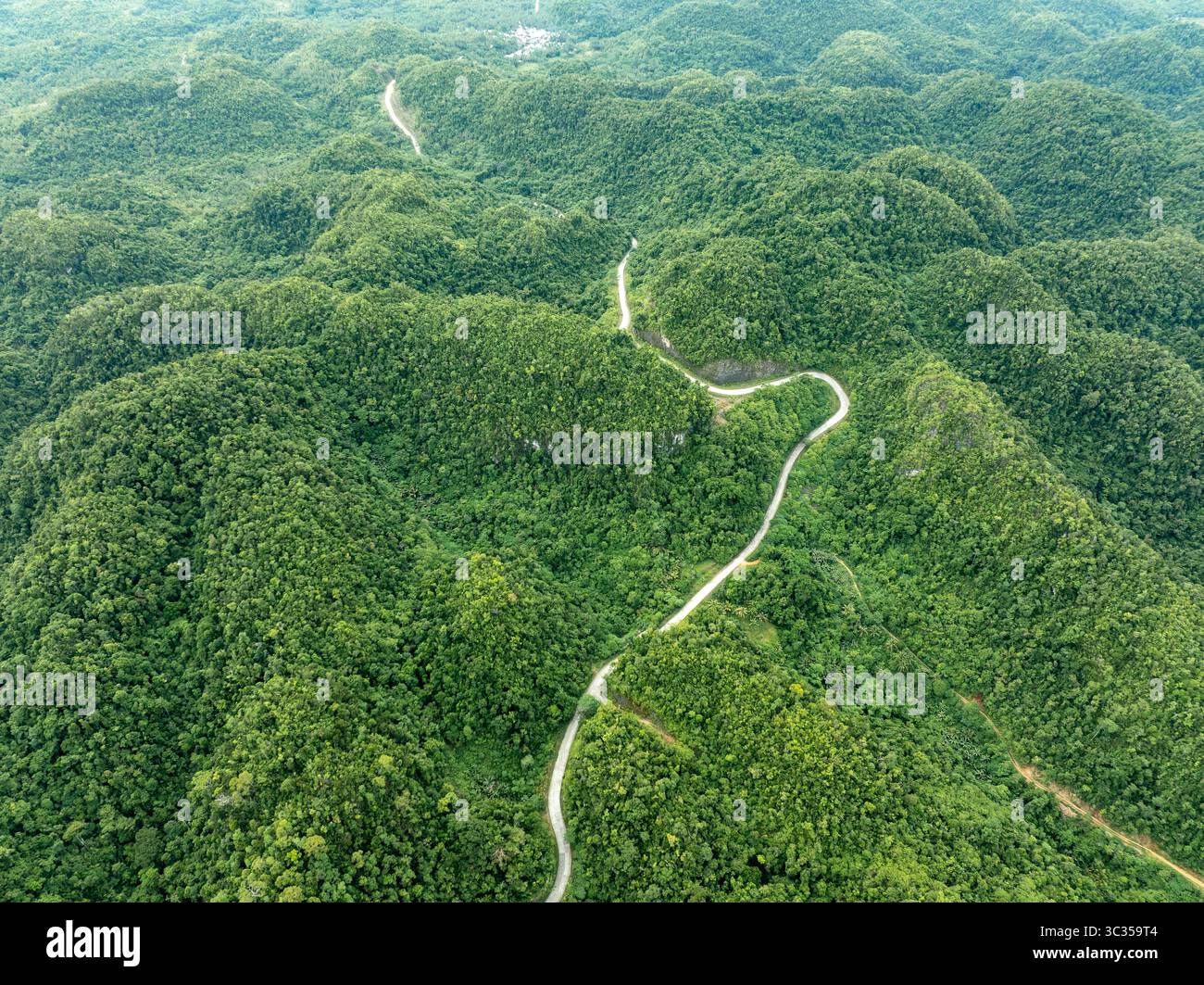 Vista aerea di una strada tortuosa che serpeggia tra le lussureggianti e verdi colline dell'isola di Siargao, Caraga, Filippine. Foto Stock