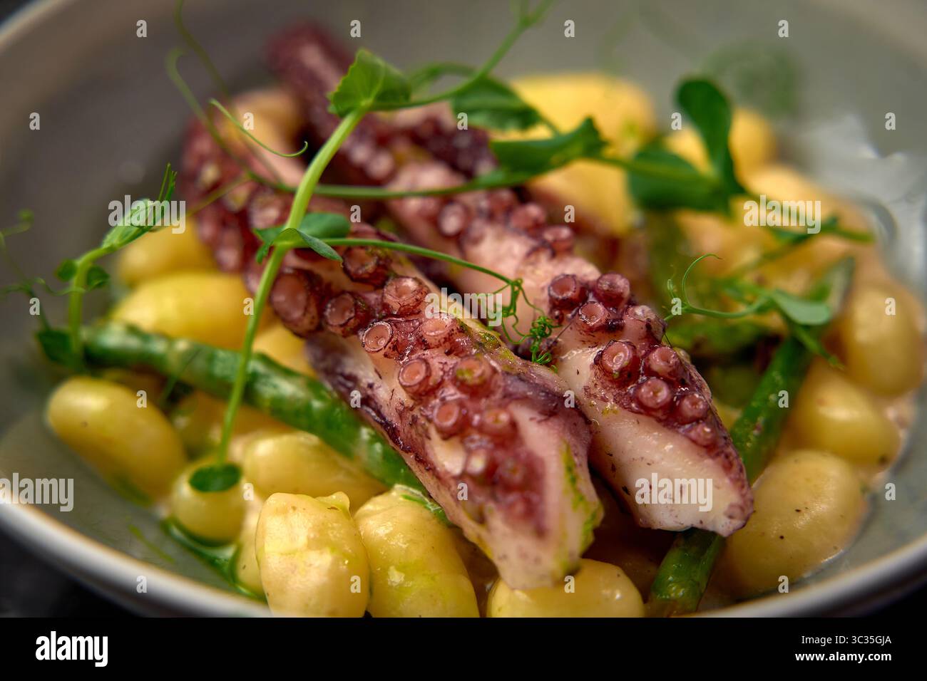 Polpo appena preparato servito su un letto di Gnocchi con teneri asparagi e delicati Microgreens per un irresistibile piacere di pesce Foto Stock