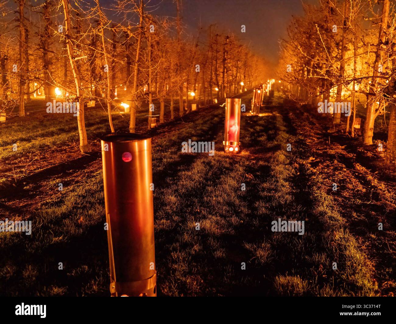 9 aprile 2021, Dunajska Luzna, Slovacchia: Stufe a fuoco accese durante una notte gelida nel frutteto..mentre ciliegi, mele e pere germogliano centinaia di fuochi vengono accesi nei frutteti per creare calore e proteggere i germogli, parte di essi cosparsa d'acqua durante la notte. Gli agricoltori devono trascorrere molte notti a tenere in vita i germogli. (Immagine di credito: © Jana Cavojska/SOPA Images via ZUMA Wire) Foto Stock