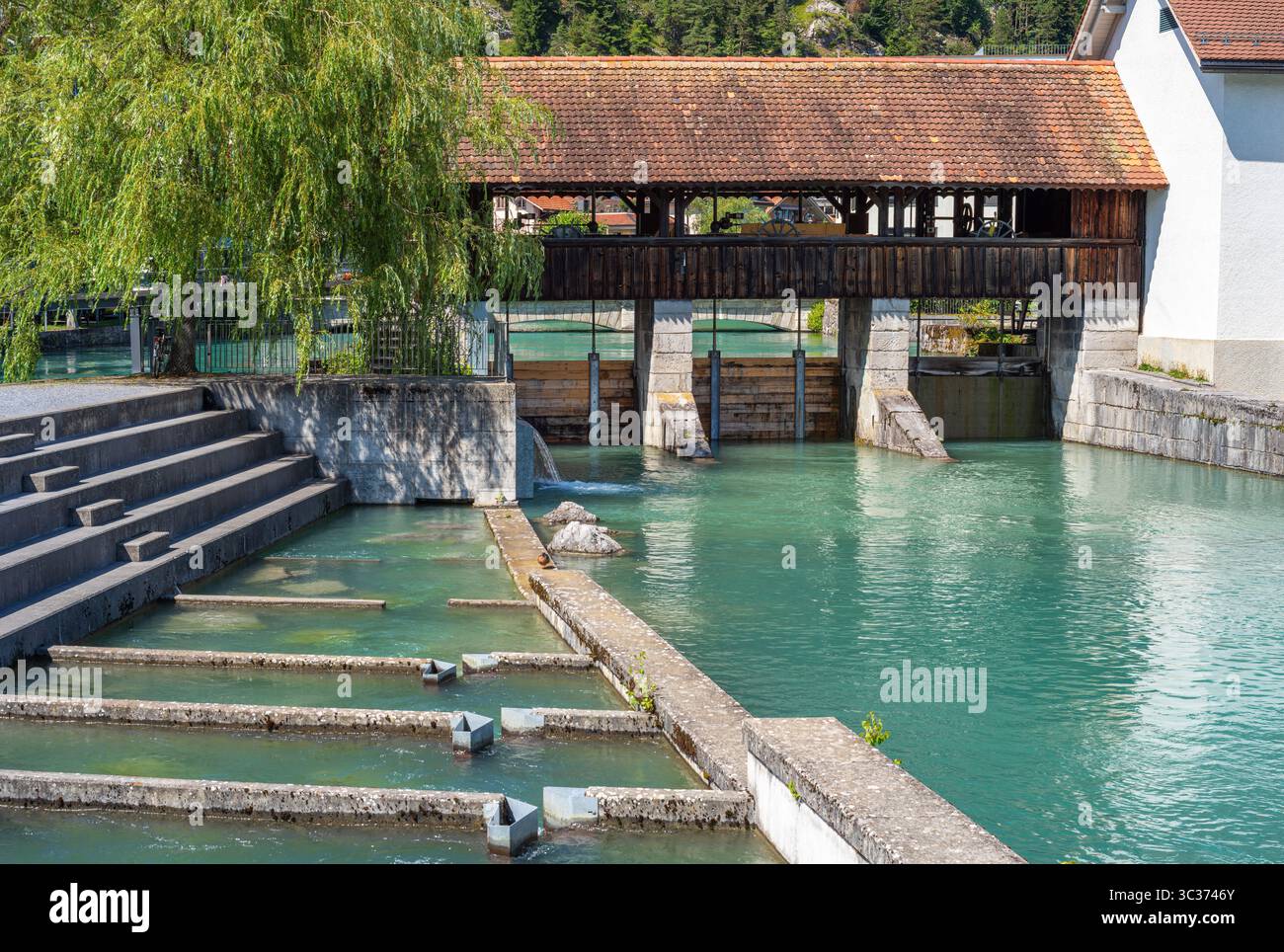 Una vista panoramica di un tranquillo fiume Aare a Interlaken con un ponte di legno sullo sfondo. L'acqua è limpida e blu verdastro, con gradini che conducono Foto Stock