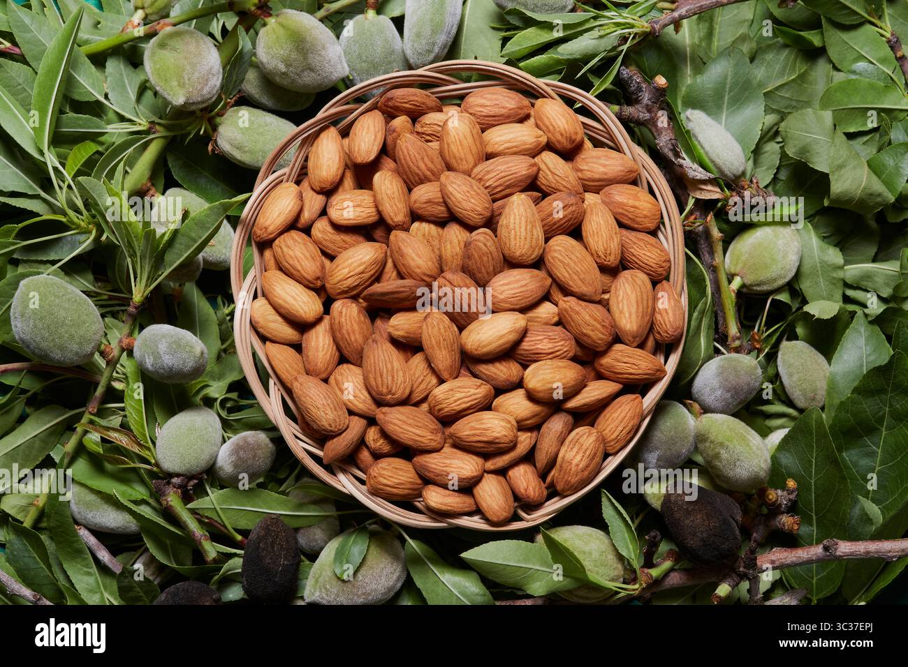 Mandorle pronte da mangiare. Lo spuntino perfetto a metà mattina o a metà pomeriggio! Foto Stock