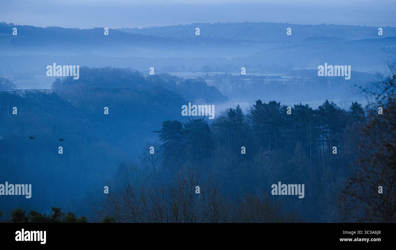 Colline e vallate boscose di colore blu all'alba nella campagna inglese in una fredda mattina d'inverno. Foto Stock