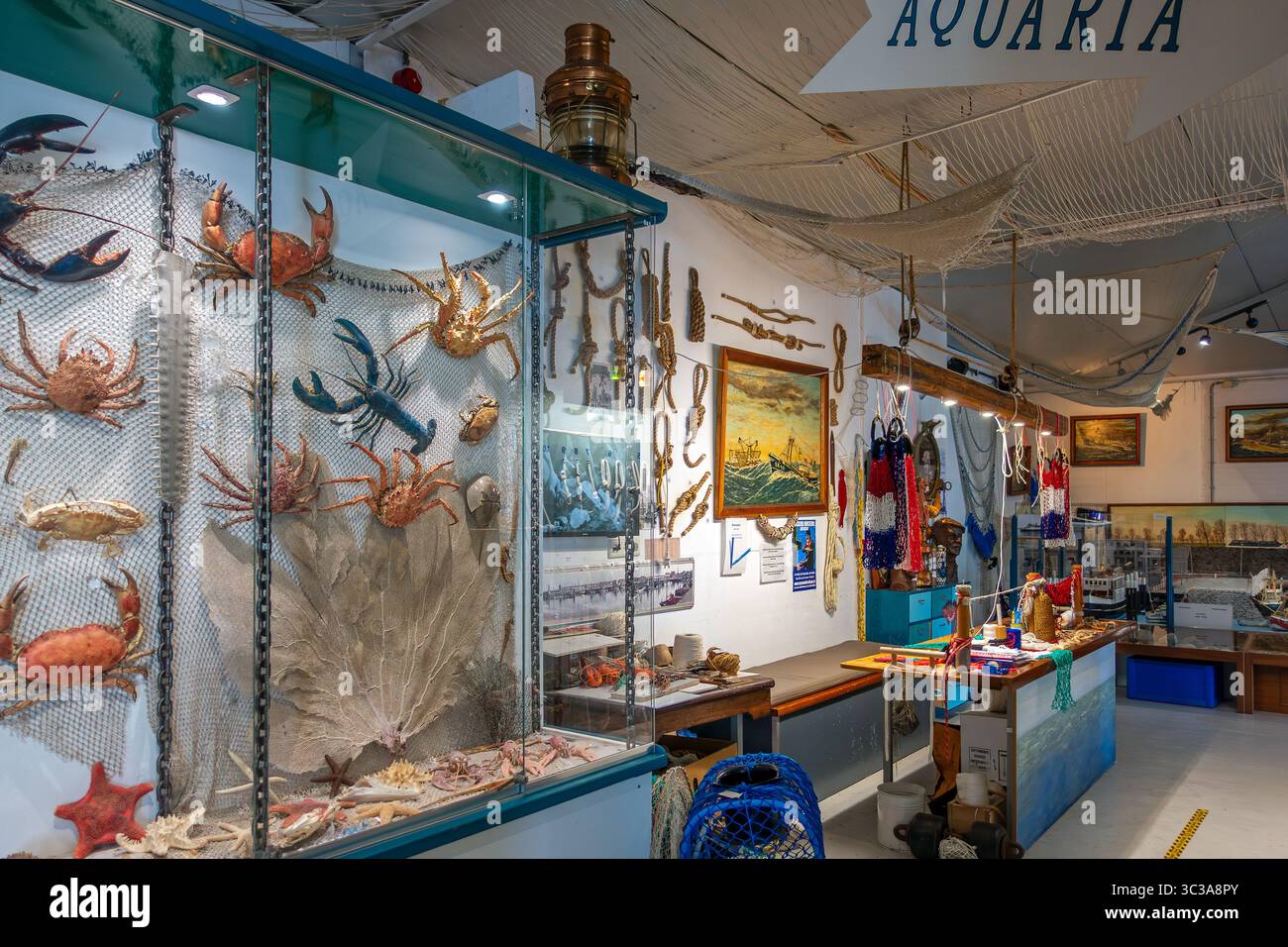 Visserijmuseum / Museo della pesca interno nel porto di Breskens lungo la Schelda occidentale, Sluis, Zelanda, Paesi Bassi Foto Stock