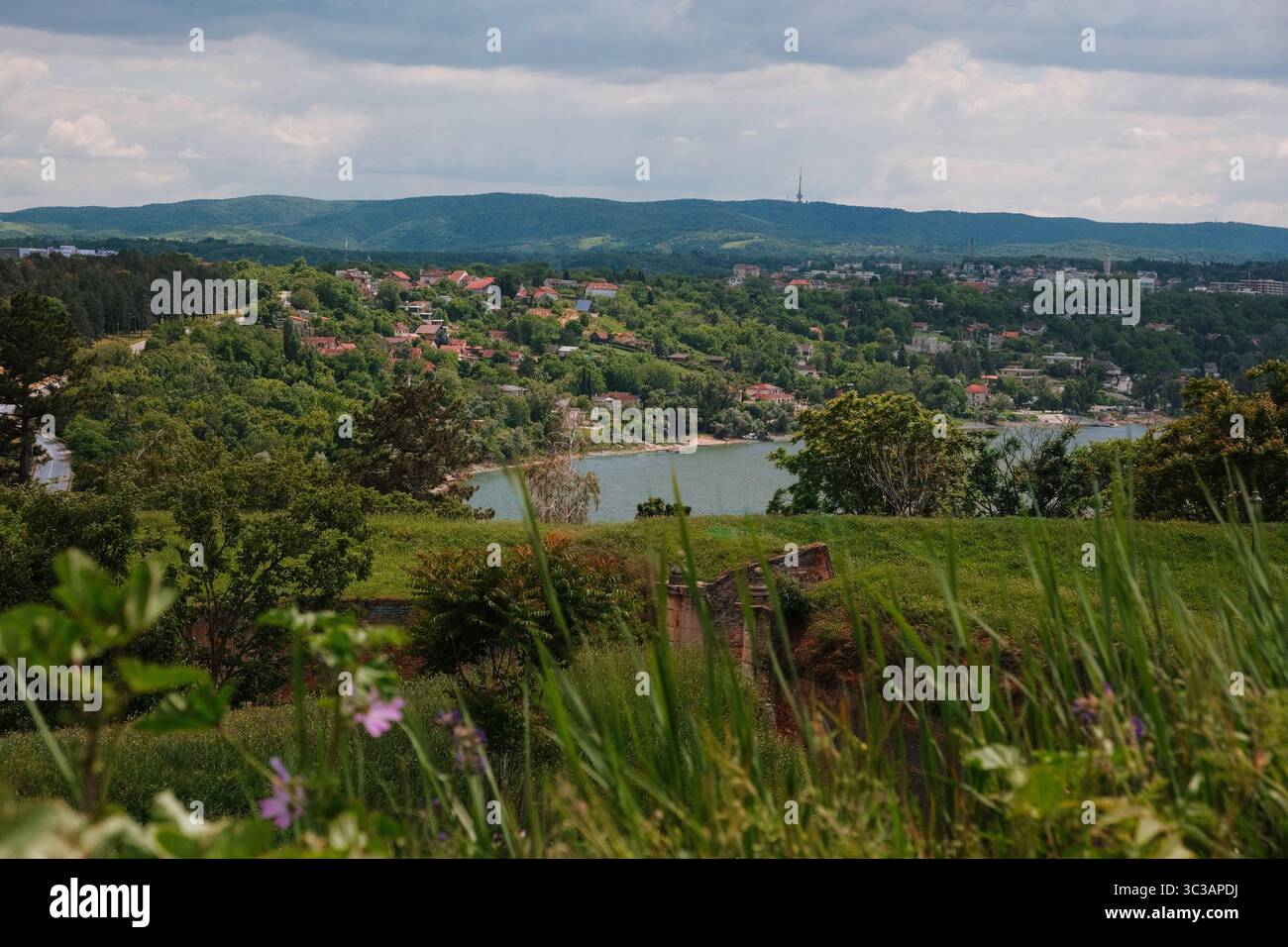 Vista del fiume Danubio e dell'area residenziale di Novi Sad, Serbia, con verdi colline e cielo nuvoloso sullo sfondo Foto Stock