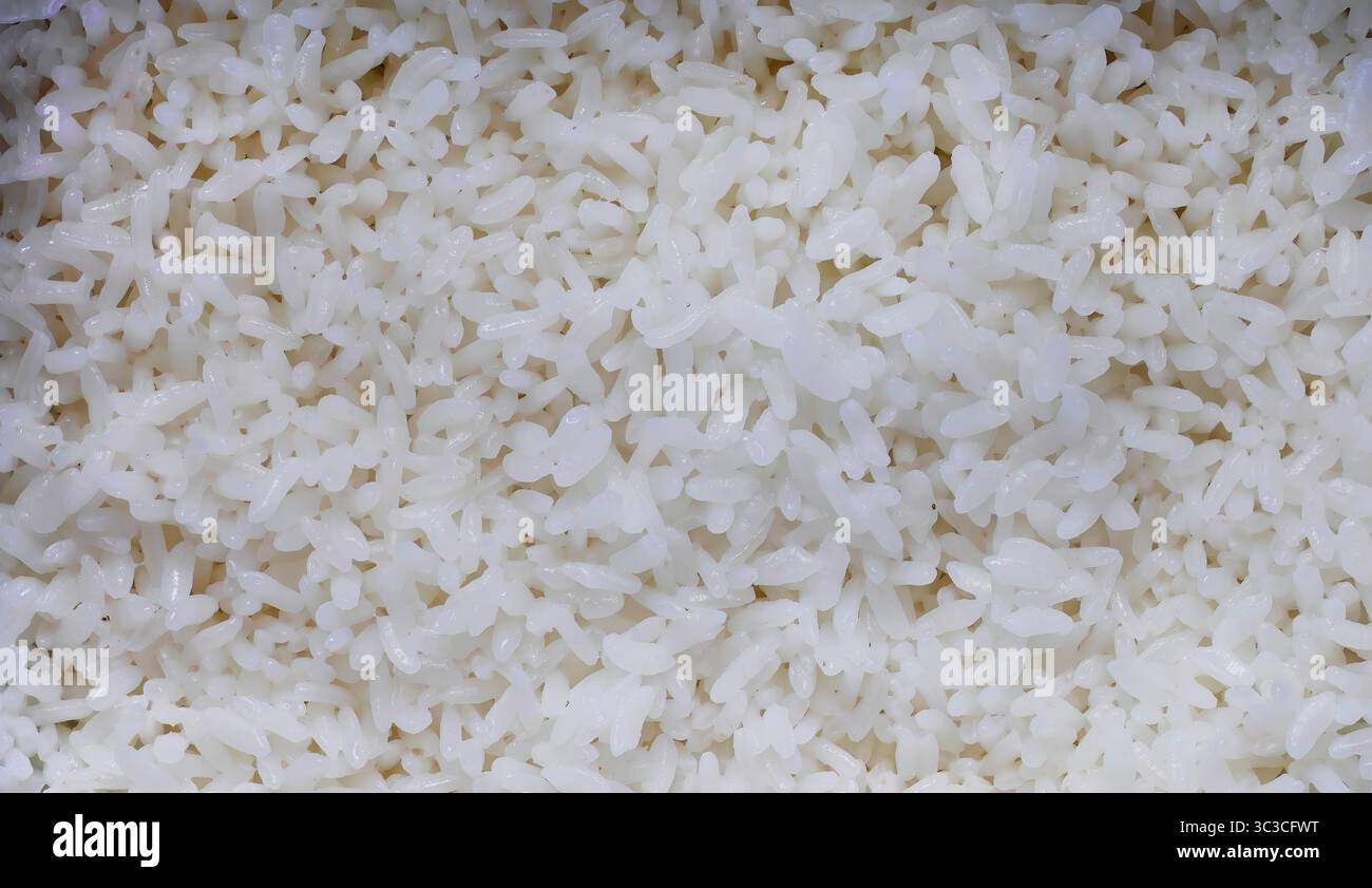 Primo piano, soffice riso bianco giapponese cucinato sul mestolo bianco, delizioso riso caldo a vapore, industria alimentare, attività alimentari, pasti caldi in stile asiatico Foto Stock