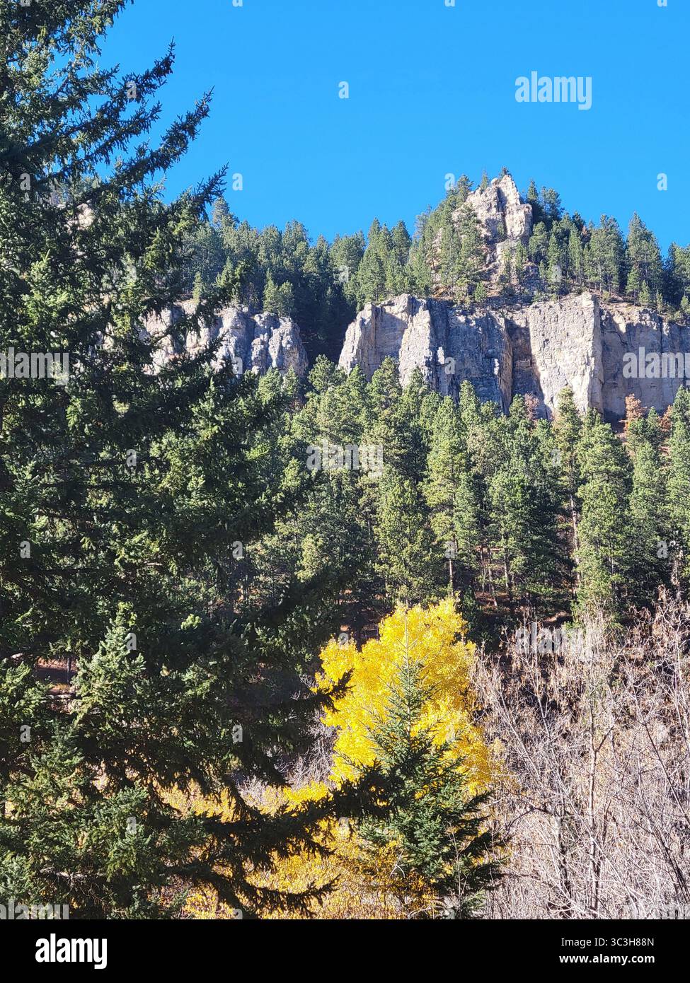 Una splendida giornata limpida a Spearfish Canyon, South Dakota, che mostra il cambiamento delle stagioni e i ruscelli di montagna. Foto Stock