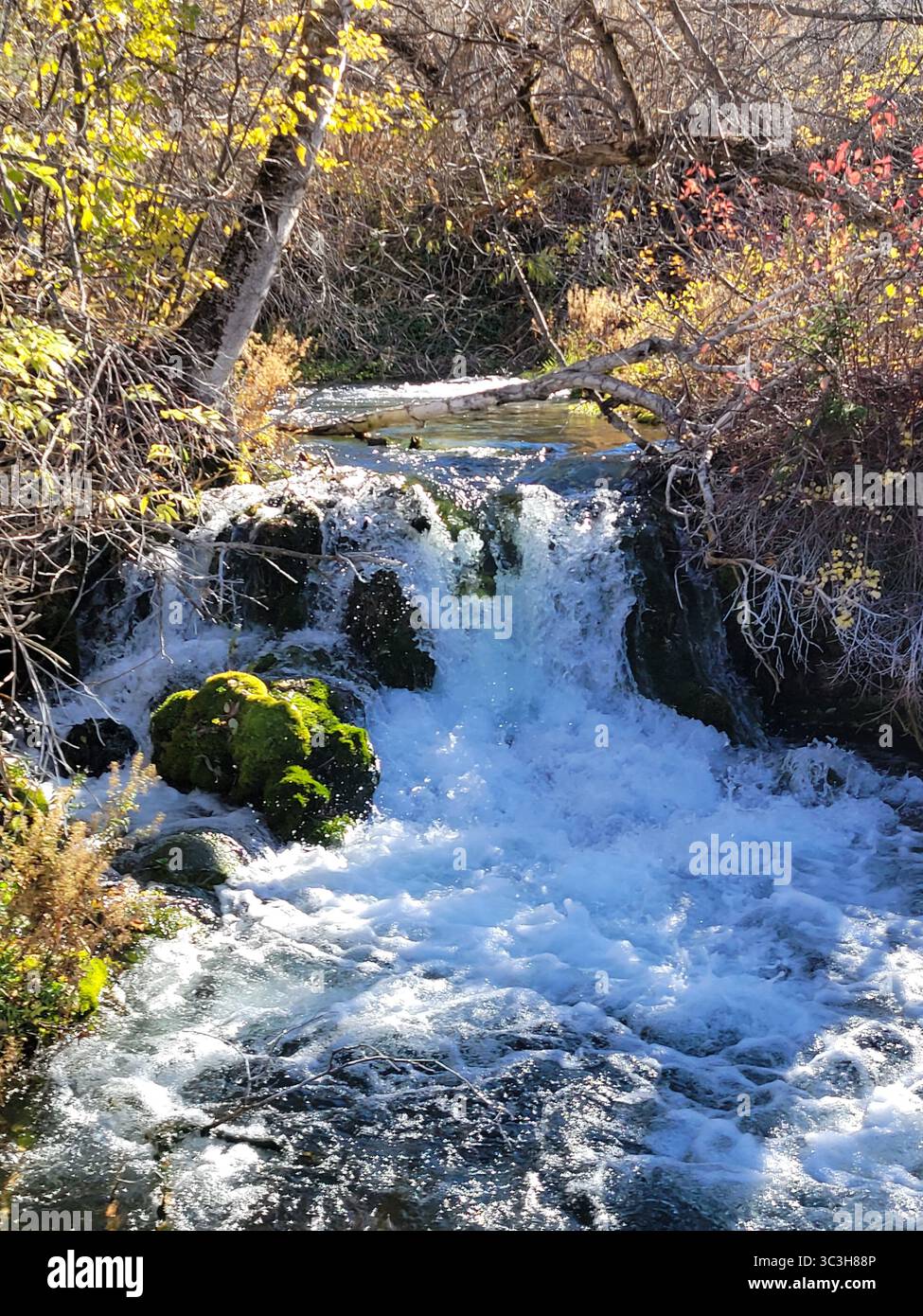 Una splendida giornata limpida a Spearfish Canyon, South Dakota, che mostra il cambiamento delle stagioni e i ruscelli di montagna. Foto Stock