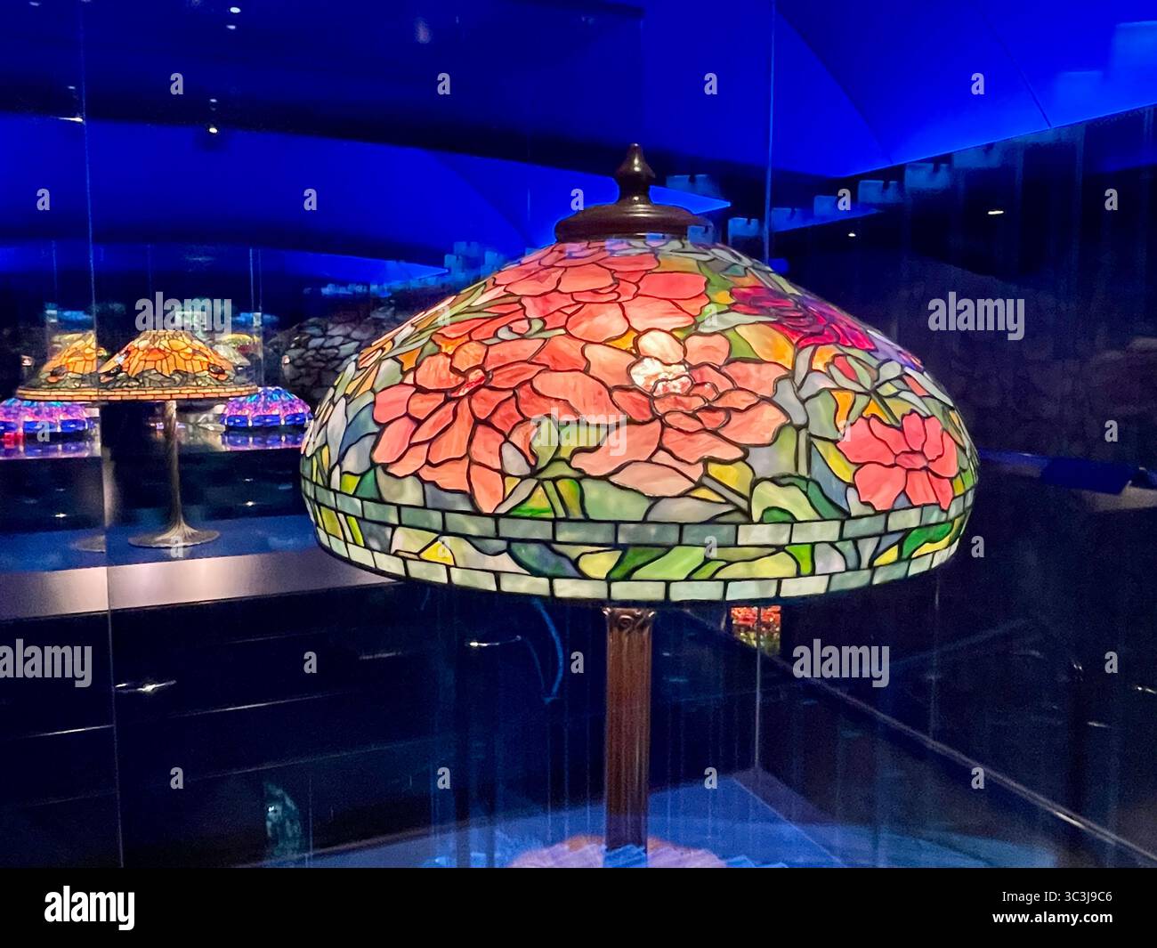 Il New York Historical Society Museum and Library si trova a Central Park West, New York City, USA 2025 - Immagine stock catturata con smartphone