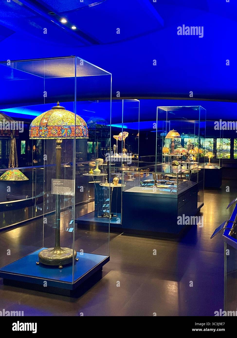 Il New York Historical Society Museum and Library si trova a Central Park West, New York City, USA 2025 - Immagine stock catturata con smartphone