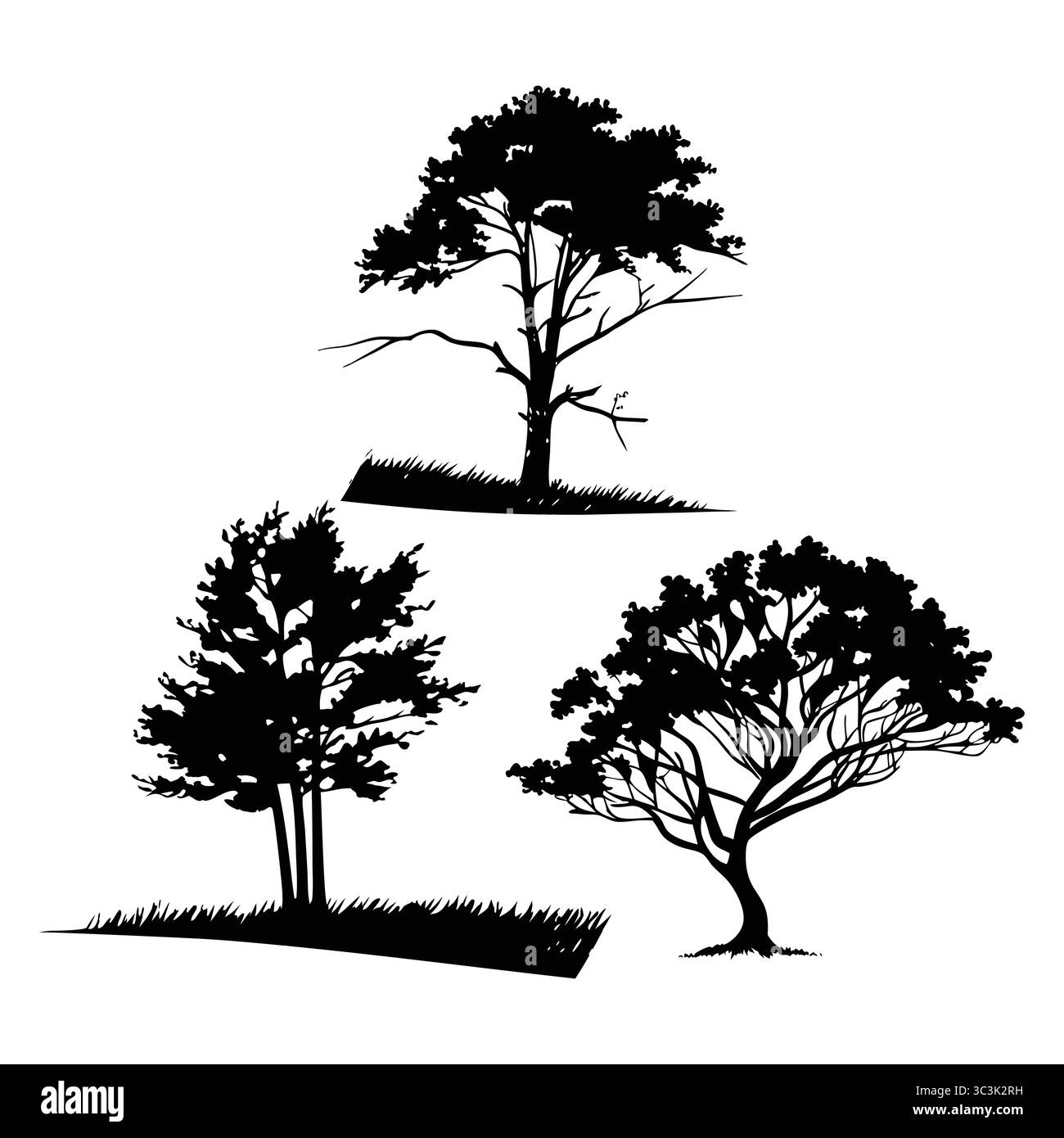 Alberi di Alder sagomati in paesaggi naturali con forme e stili diversi Illustrazione Vettoriale